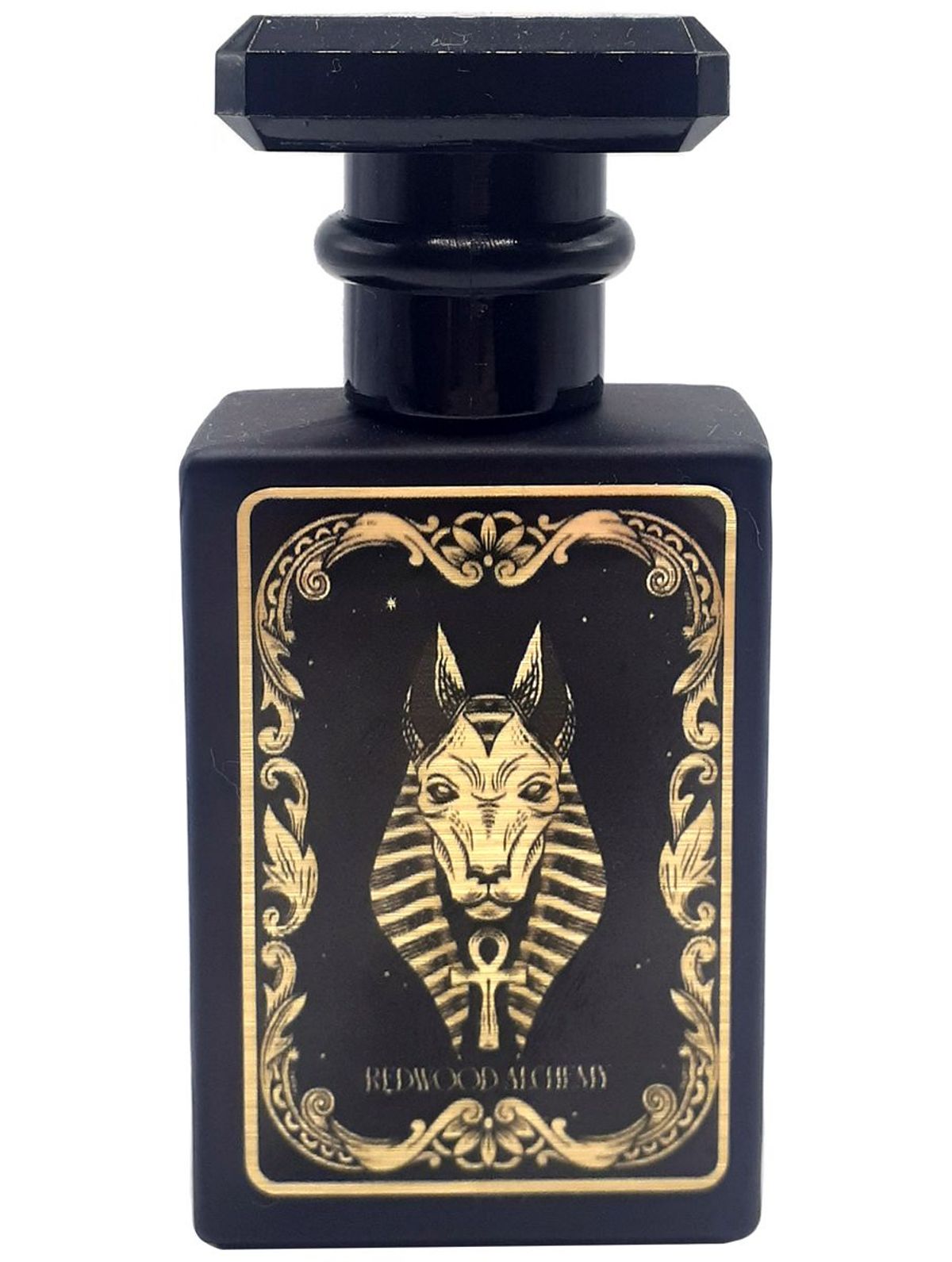Anubis