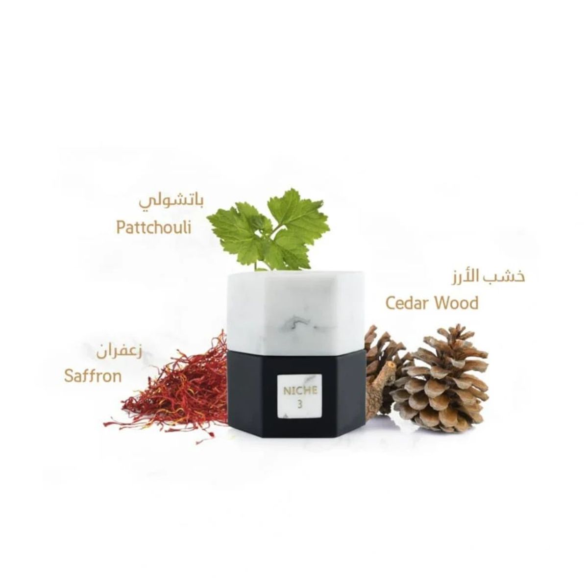 Niche 3