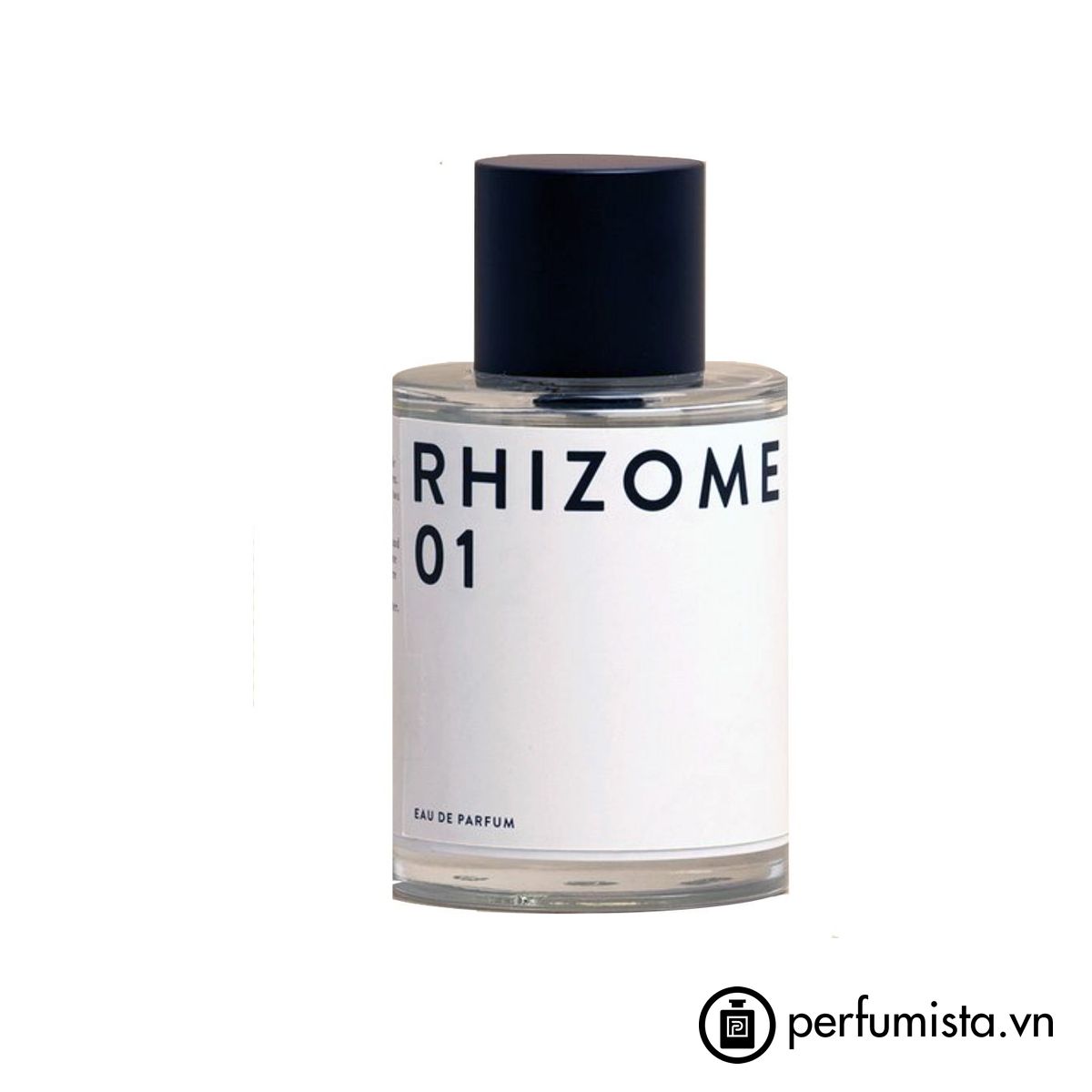 Rhizome 01