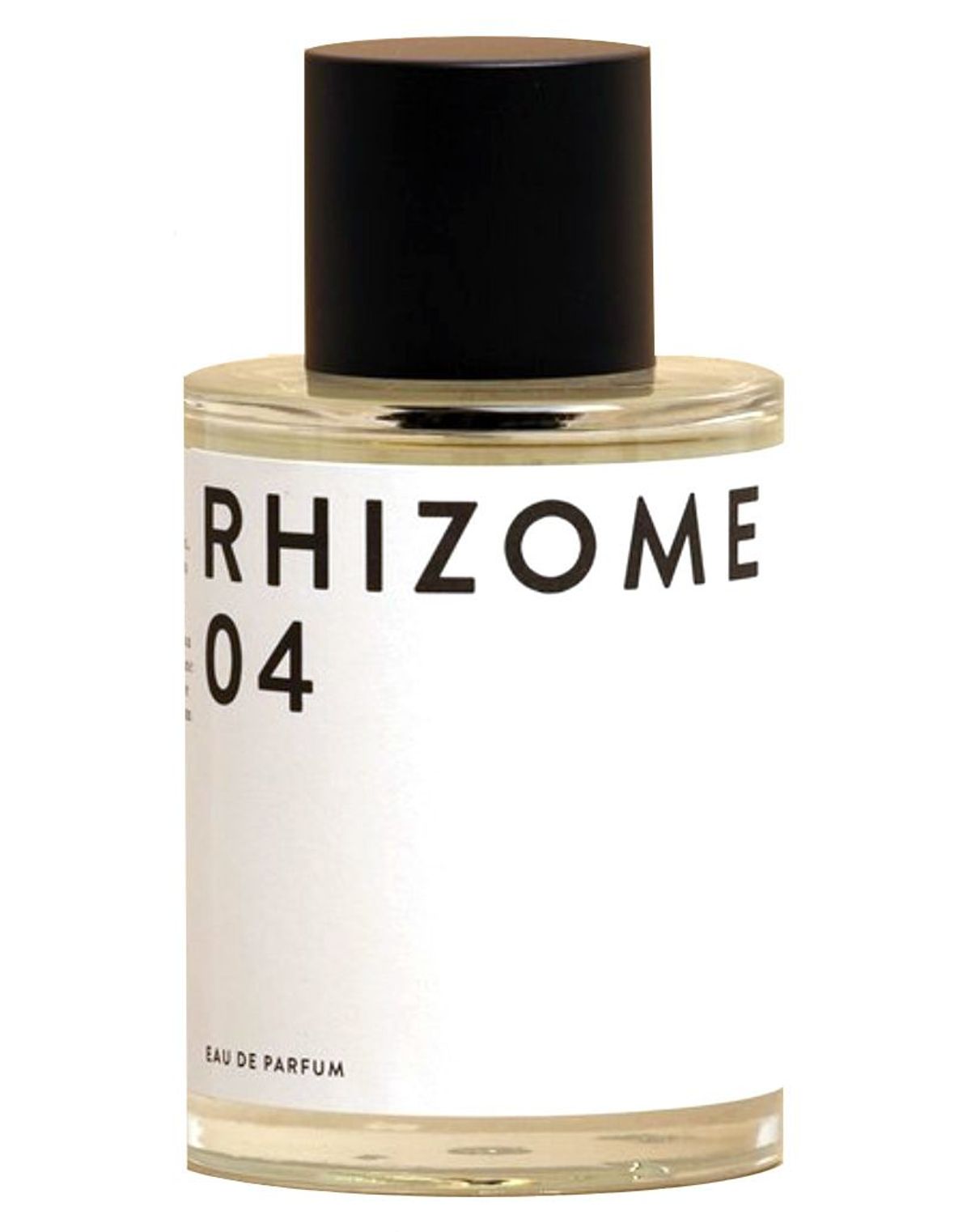 Rhizome 04