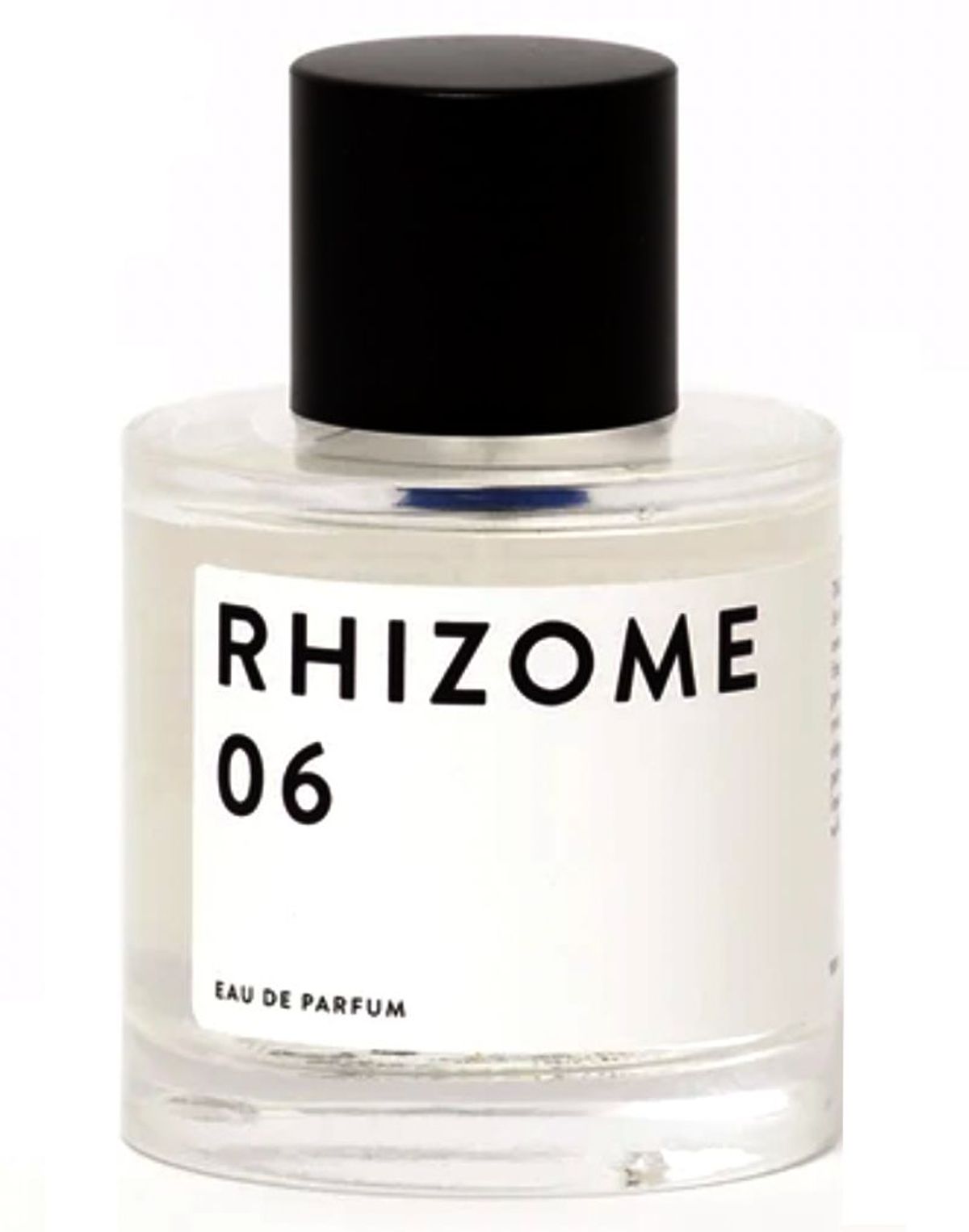 Rhizome 06