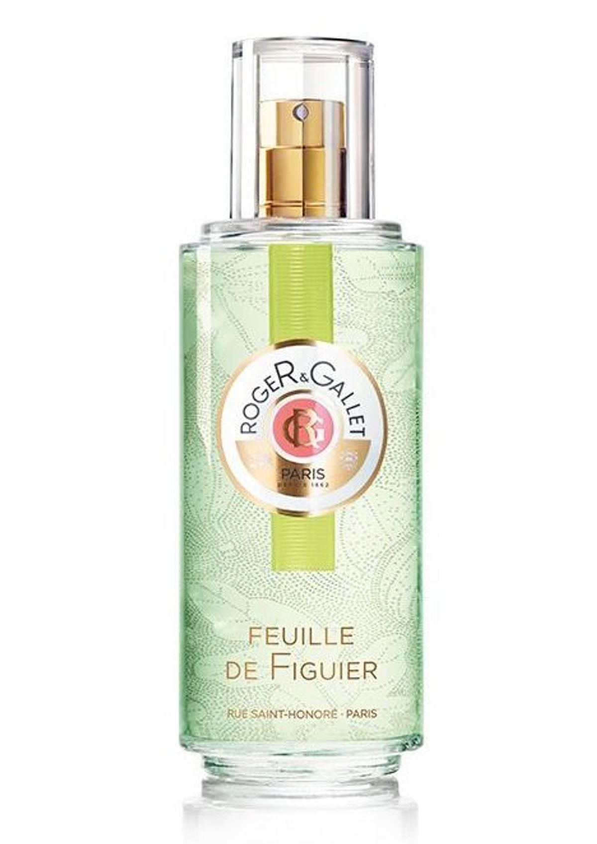 Feuille de Figuier