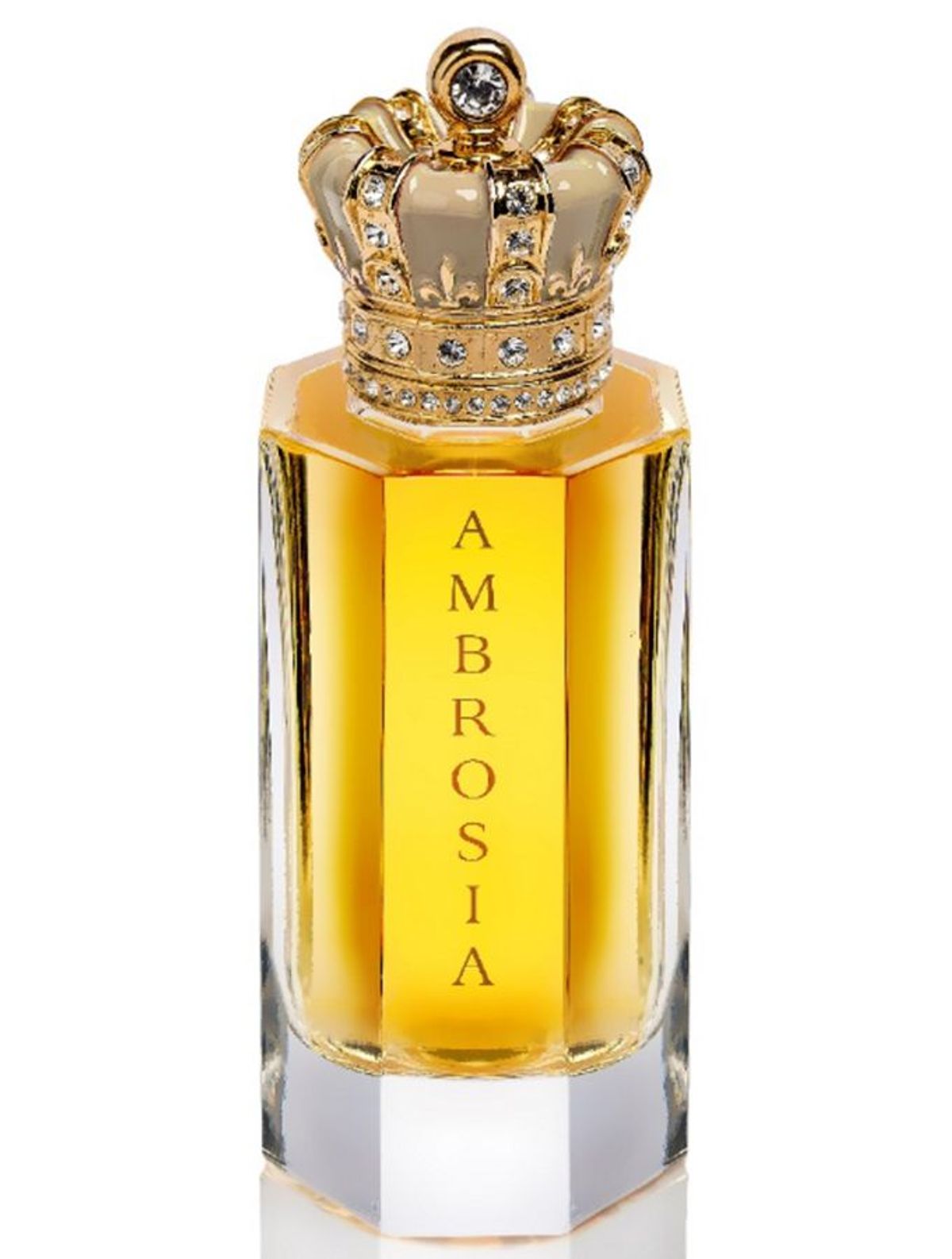 Ambrosia