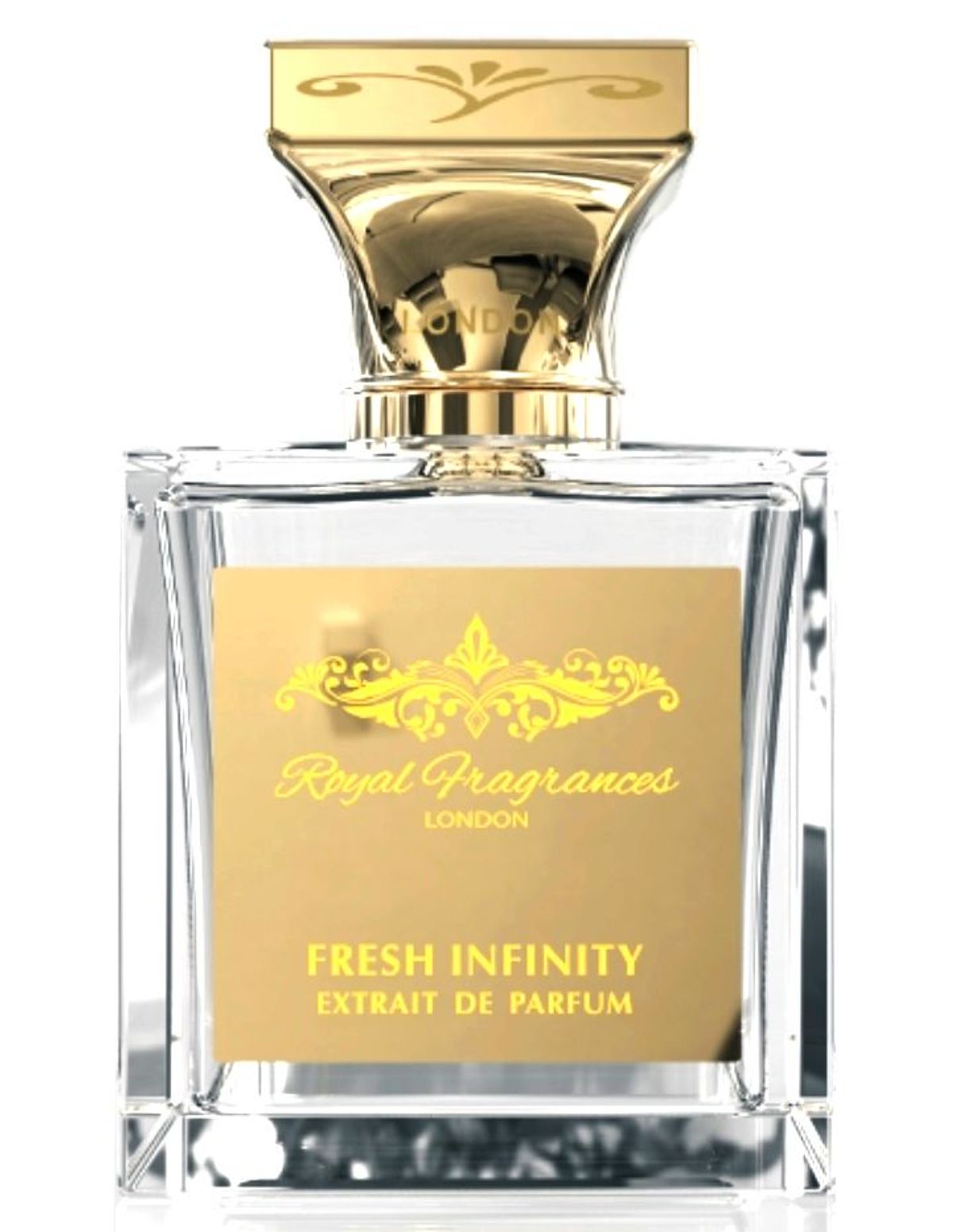 Fresh Infinity