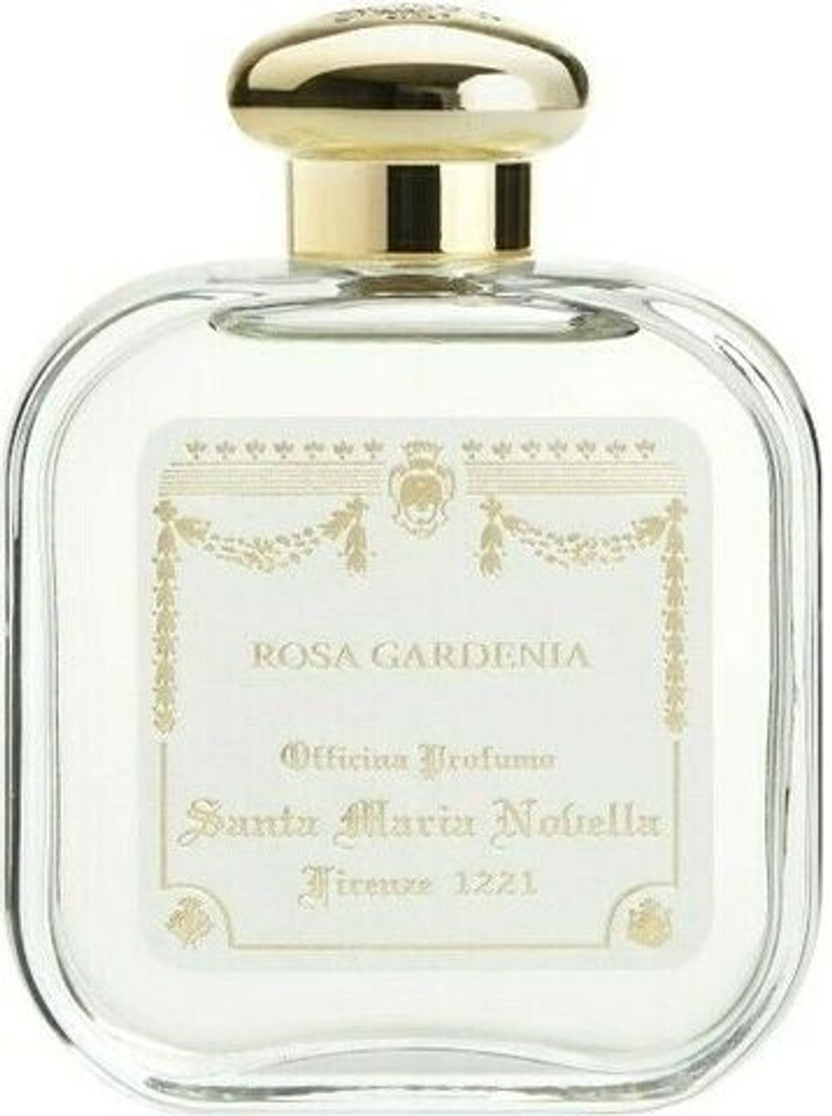 Rosa Gardenia