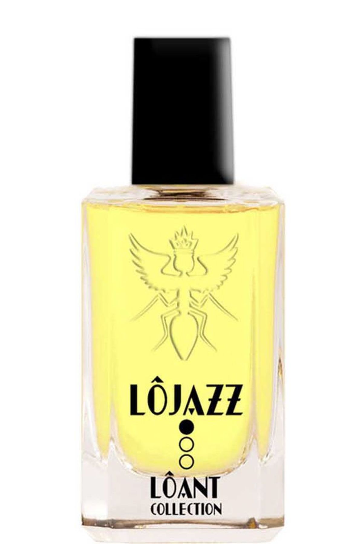 LOJAZZ