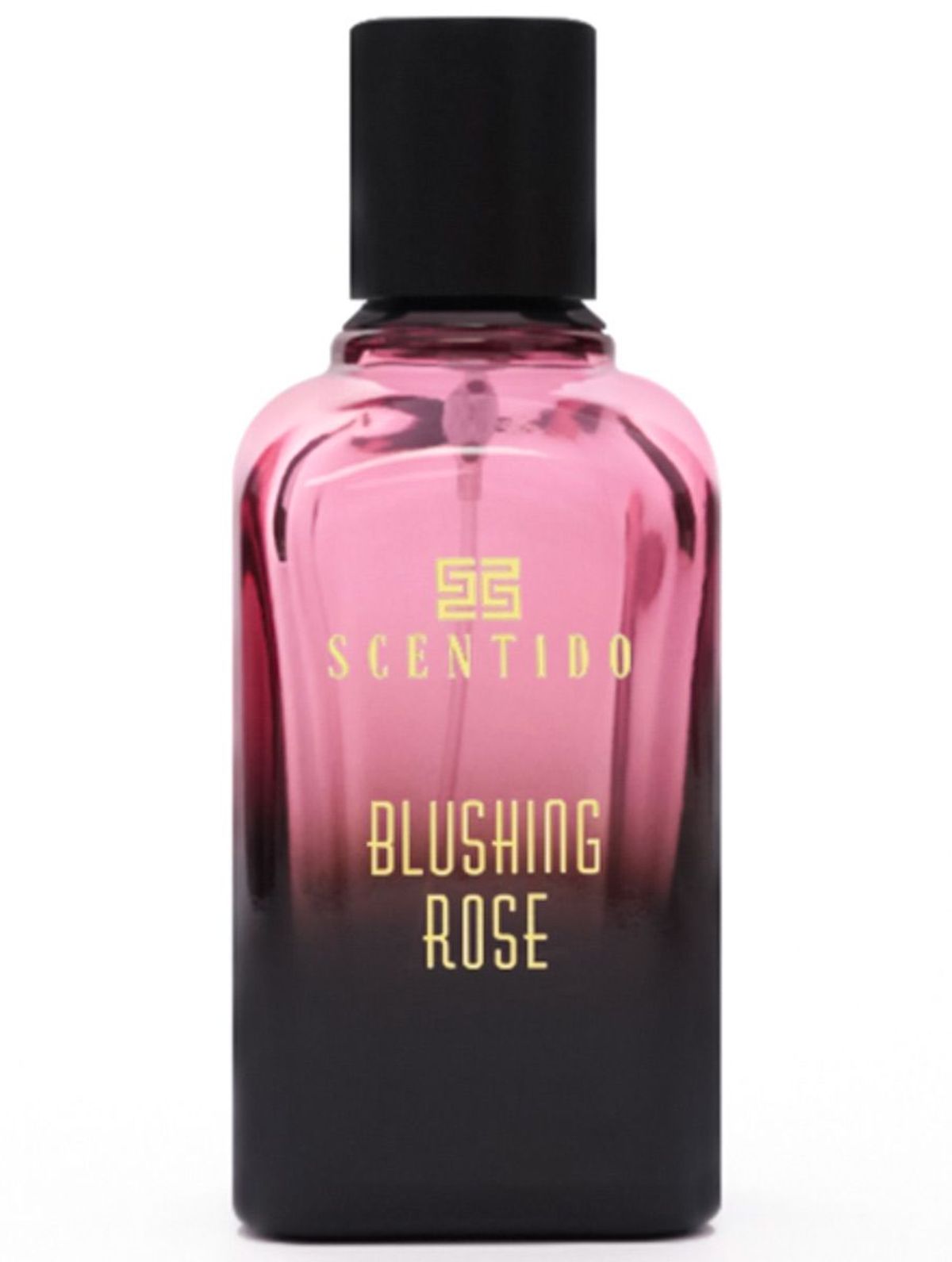 Blushing Rose