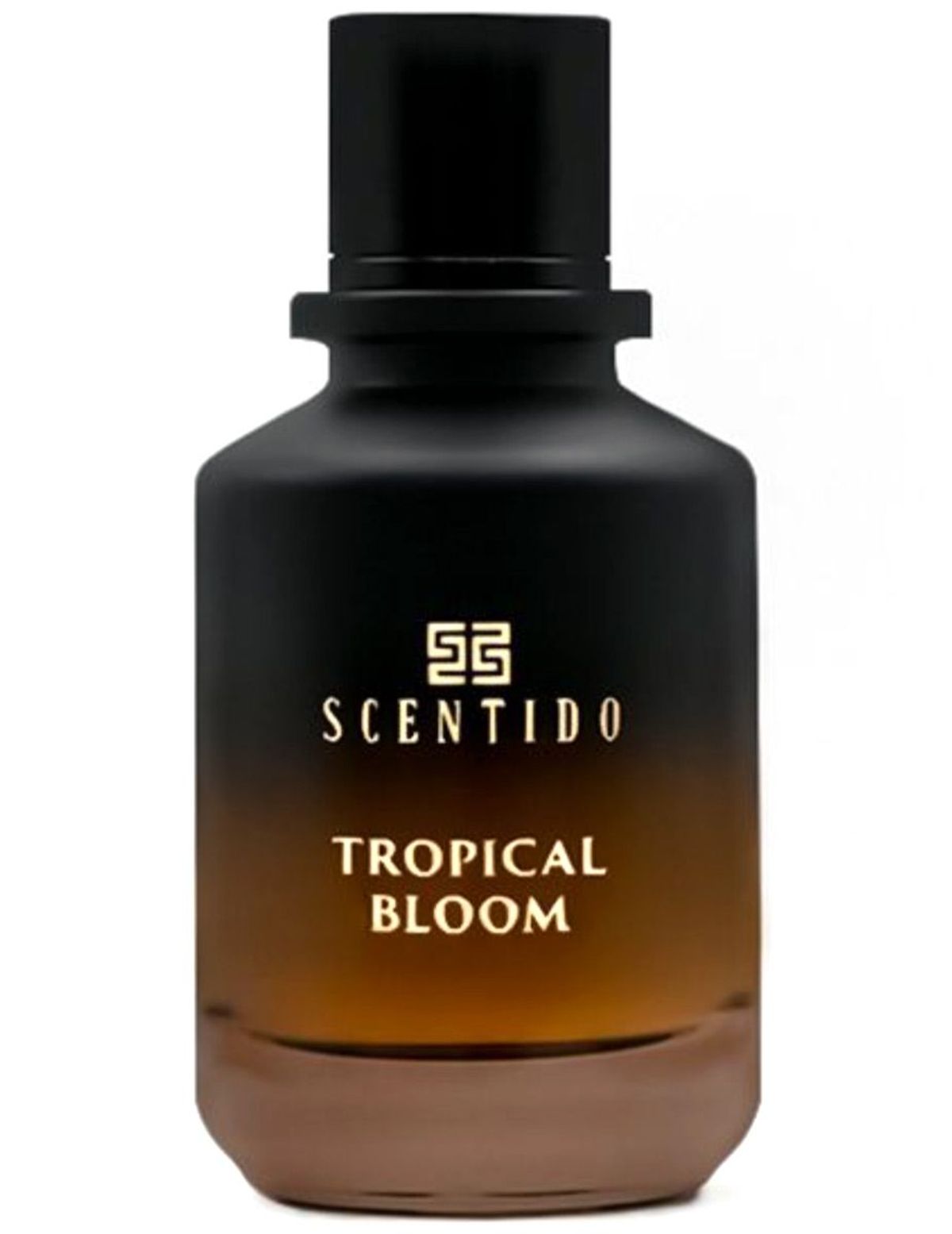 Tropical Bloom