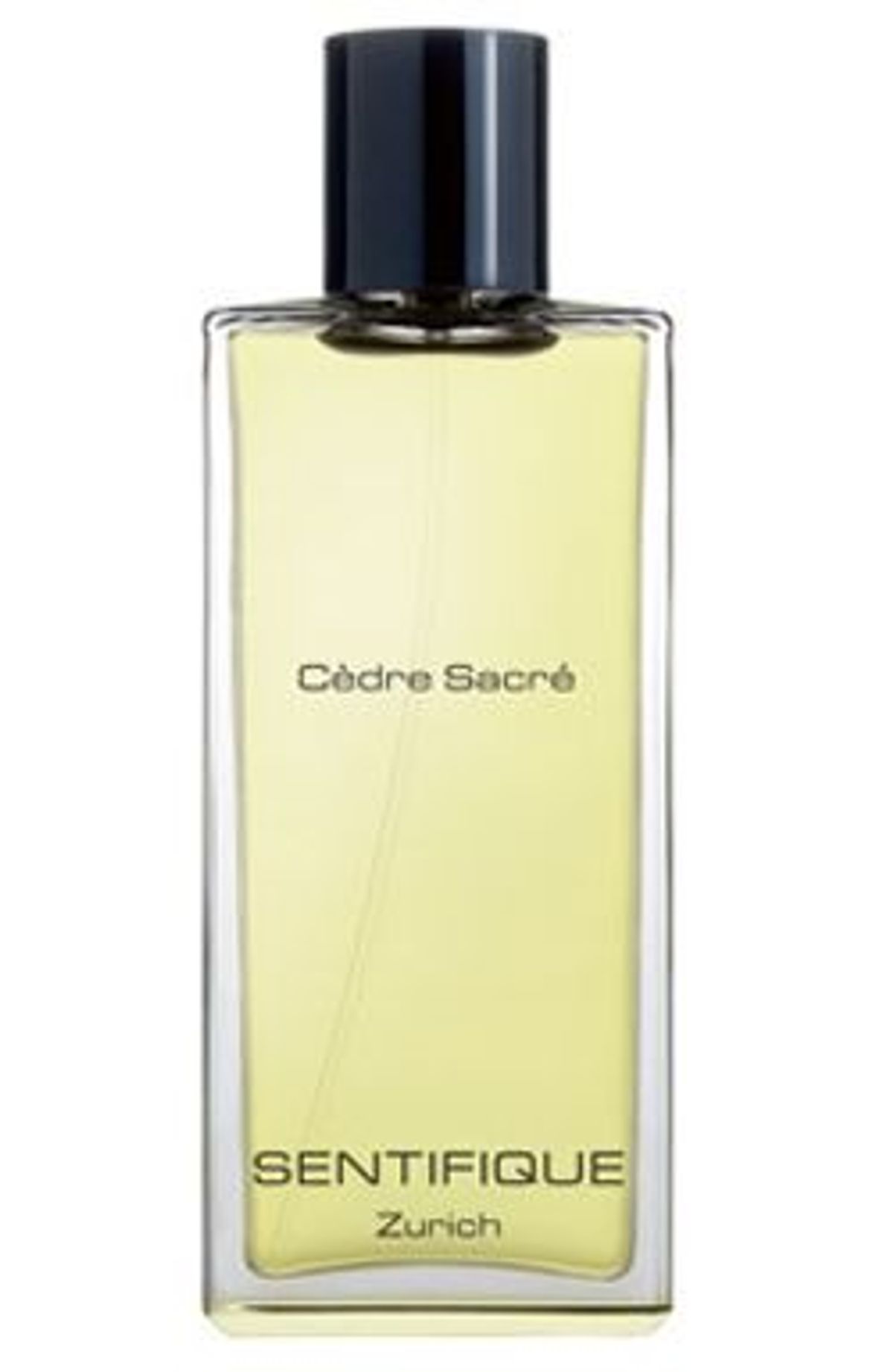 Cedre Sacre