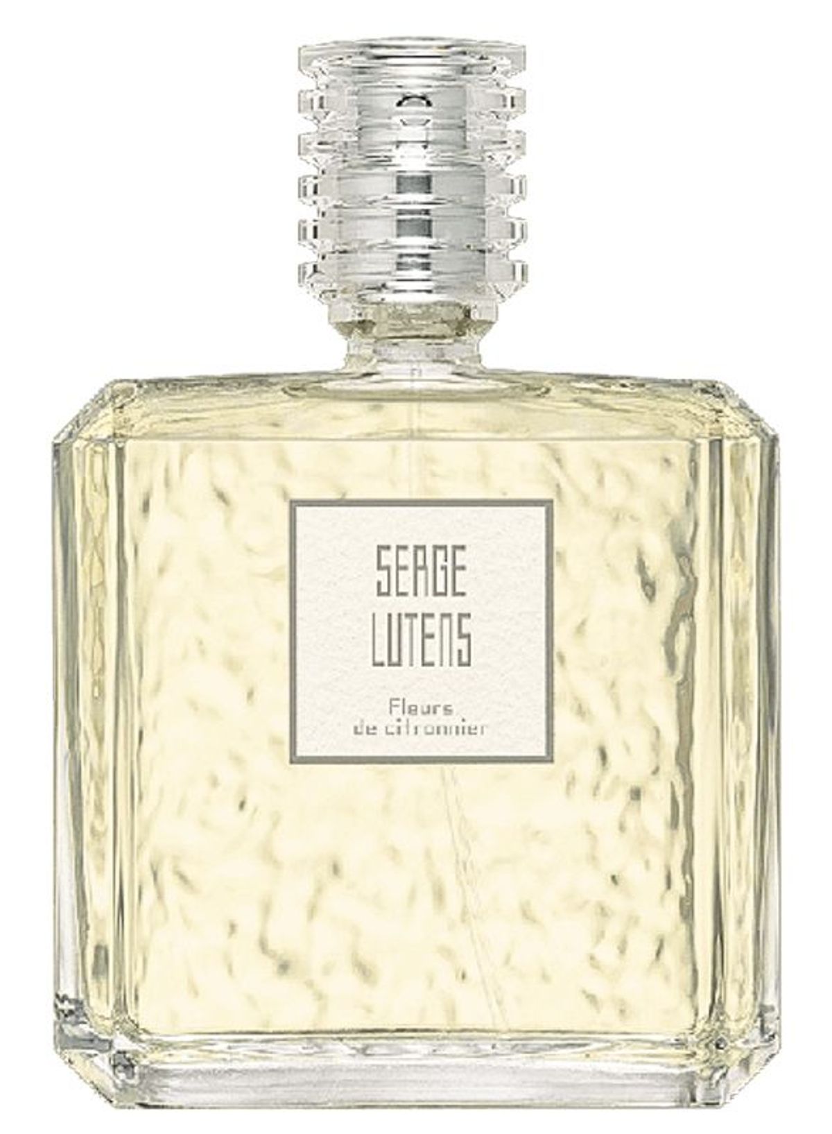 Fleurs de Citronnier