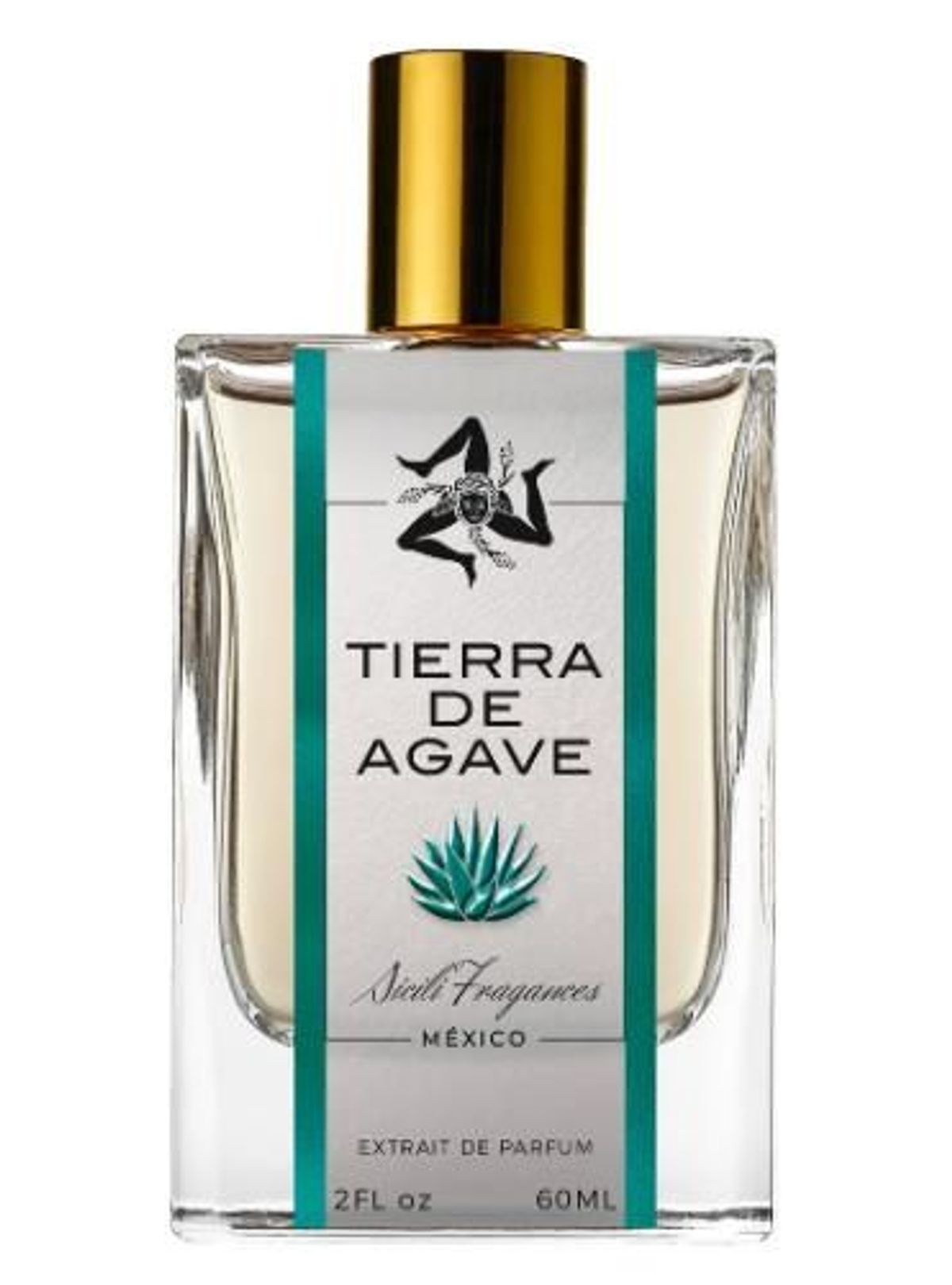 Tierra de Agave