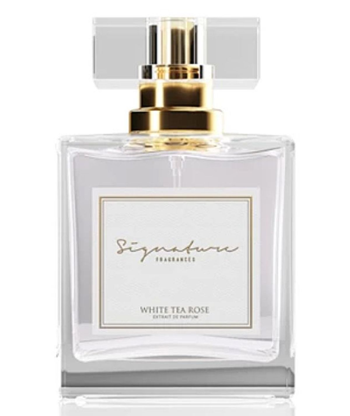 White Tea Rose