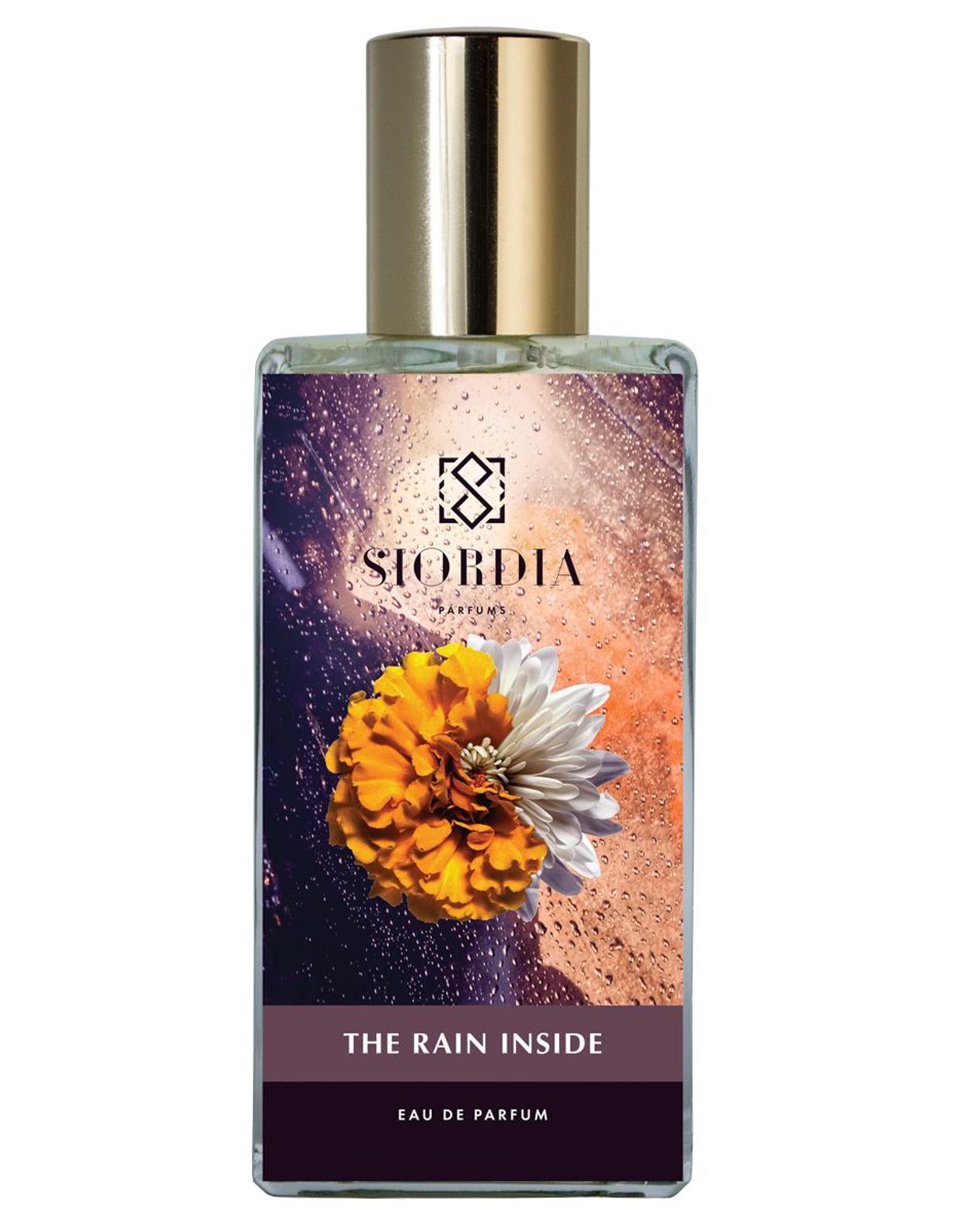 The Rain Inside