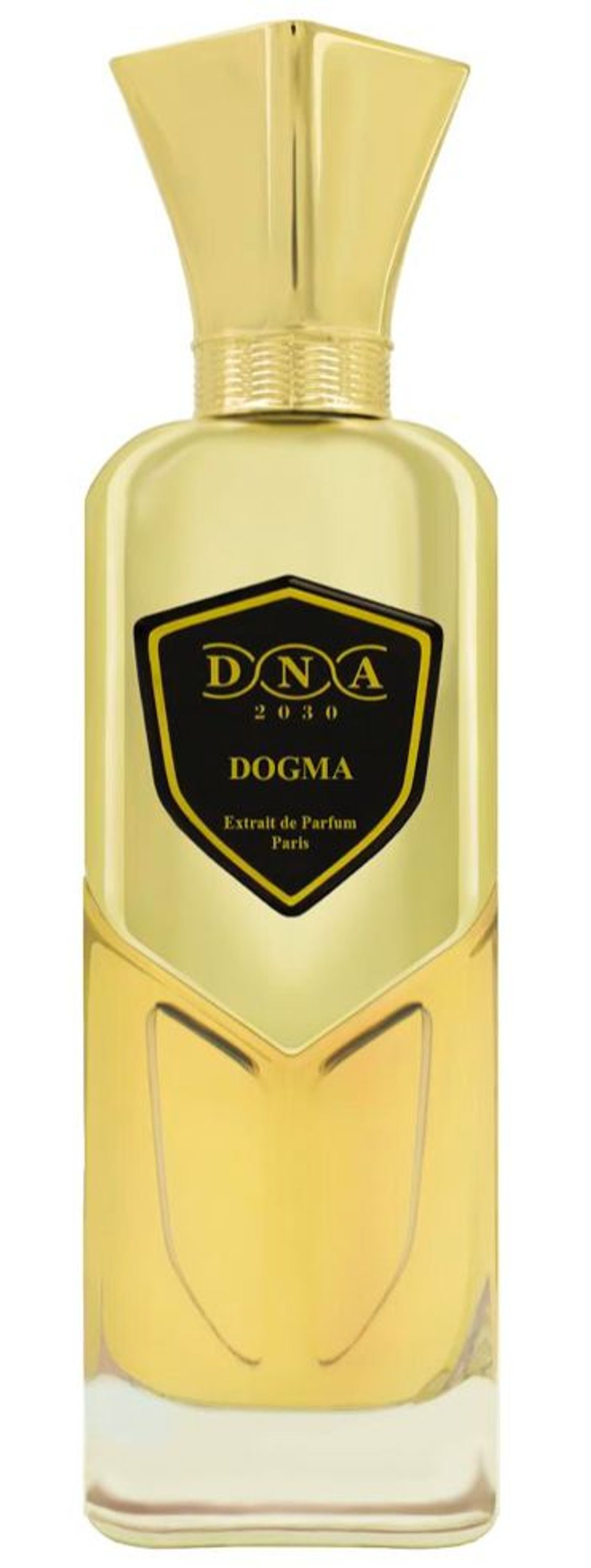 Dogma