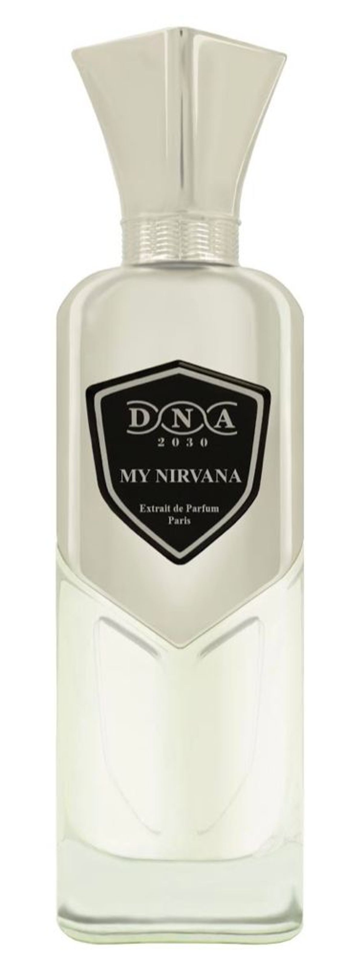 My Nirvana