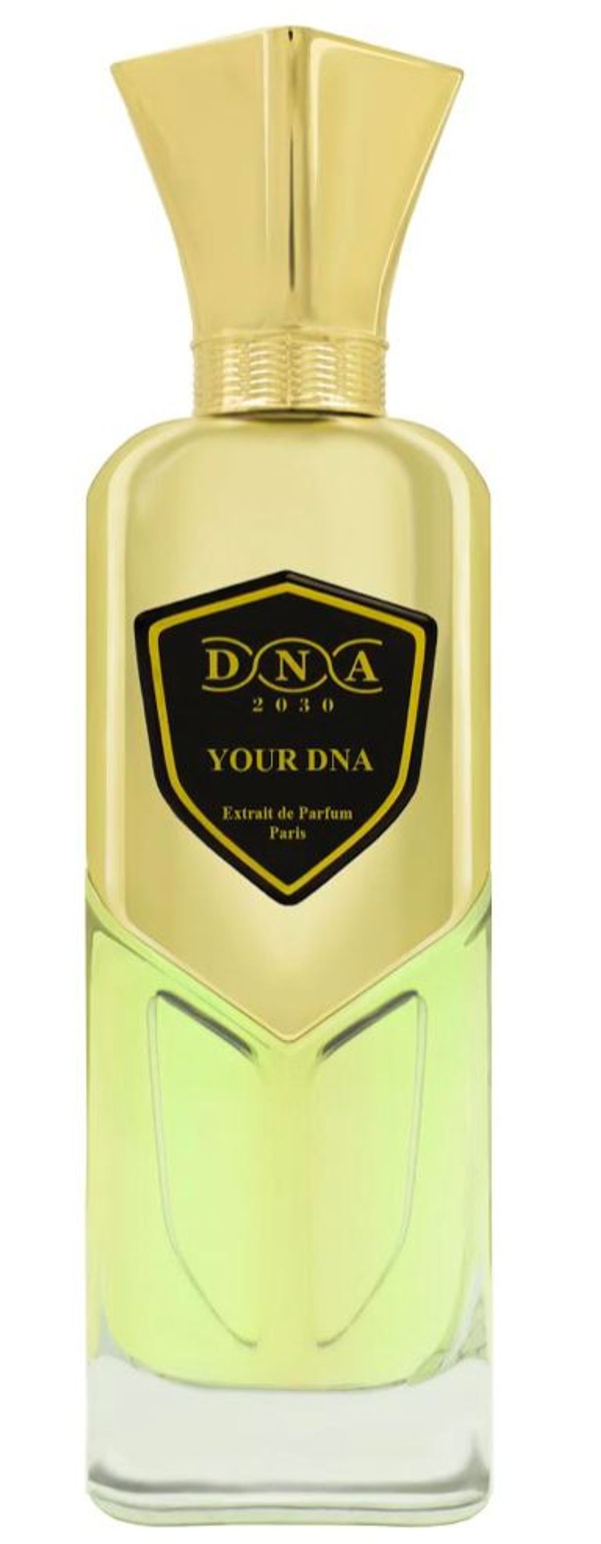 Your DNA