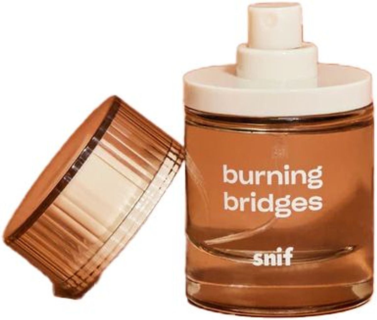 Burning Bridges
