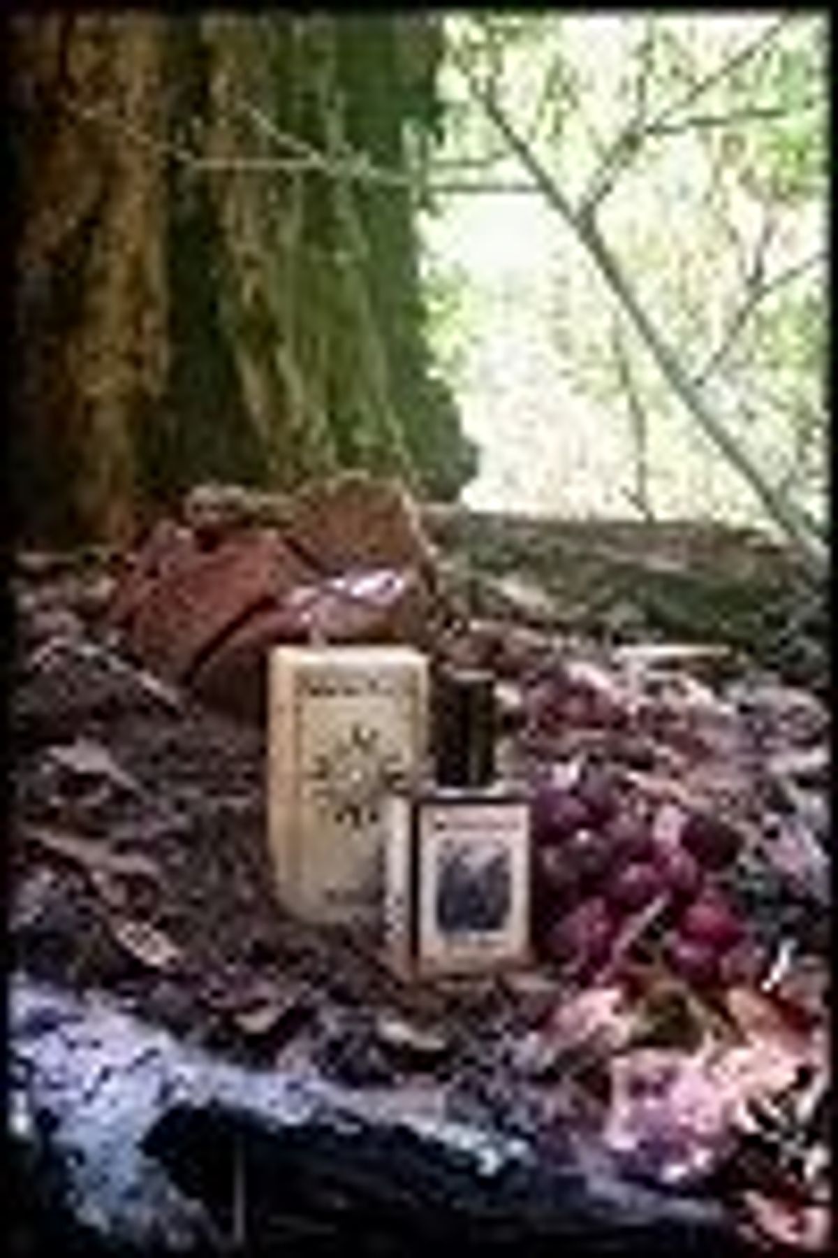 Black Forest
