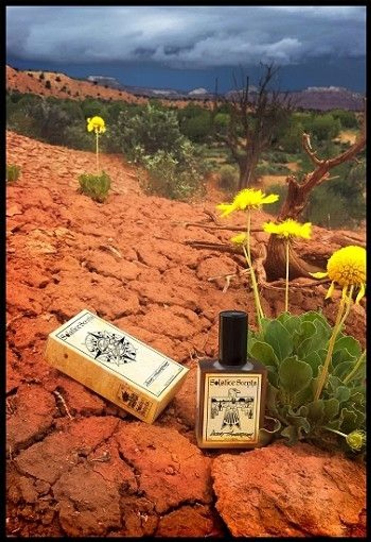 Desert Thunderstorm