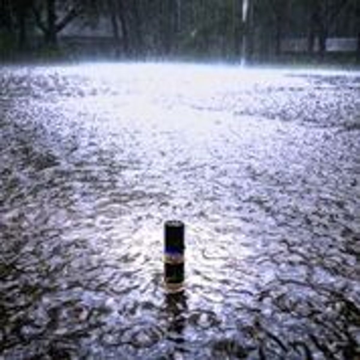 During the Rain