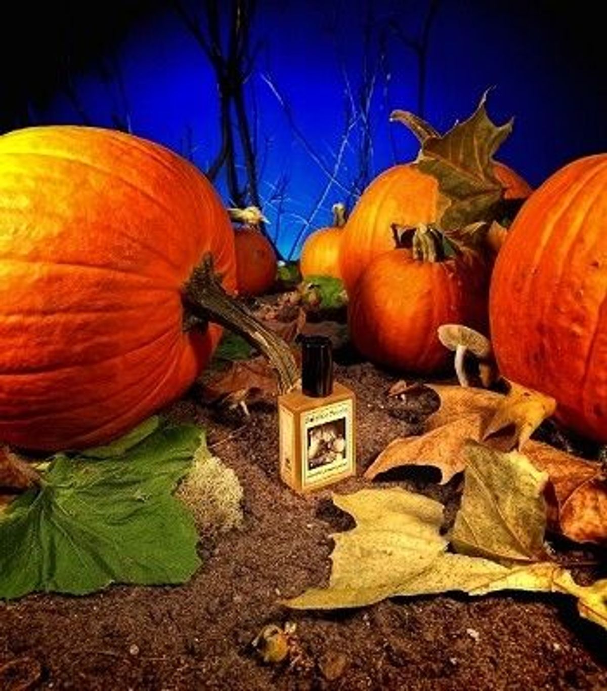 Gunnerson's Pumpkin Patch