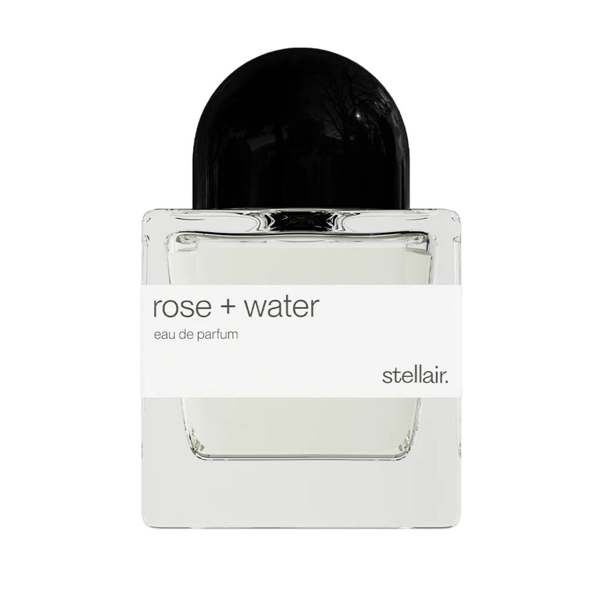 Rose + Water