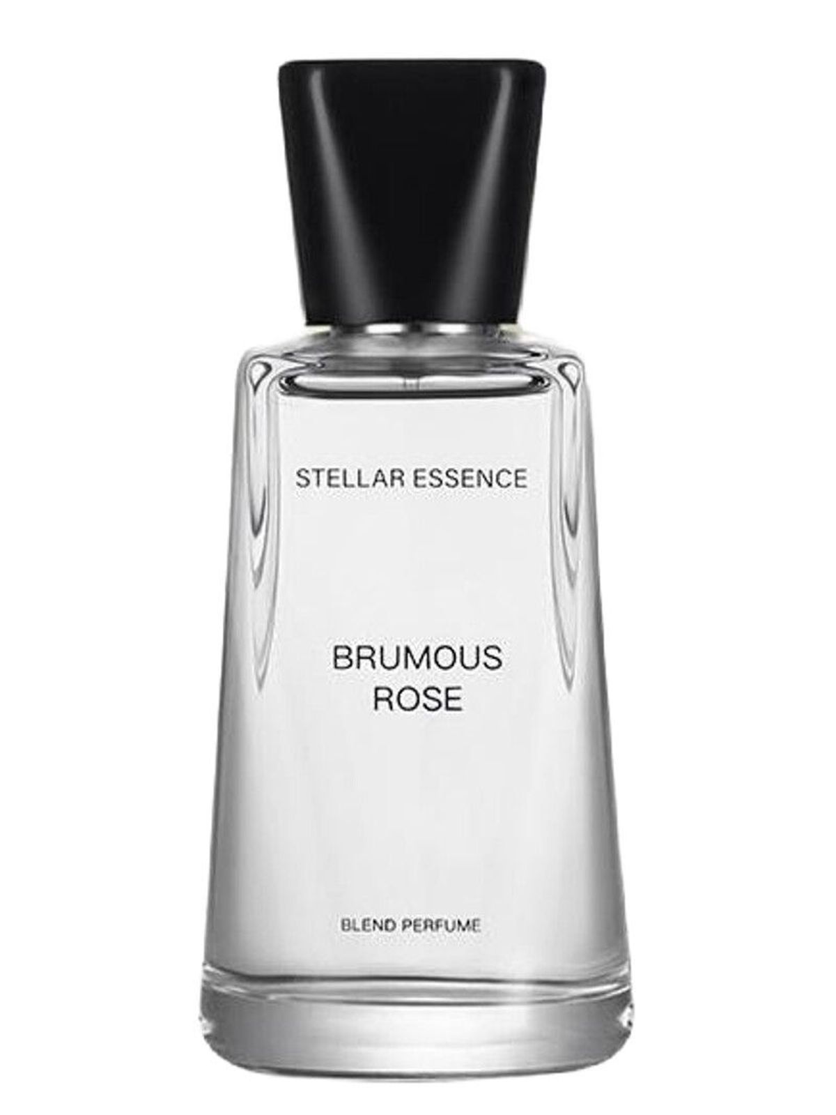 Brumous Rose