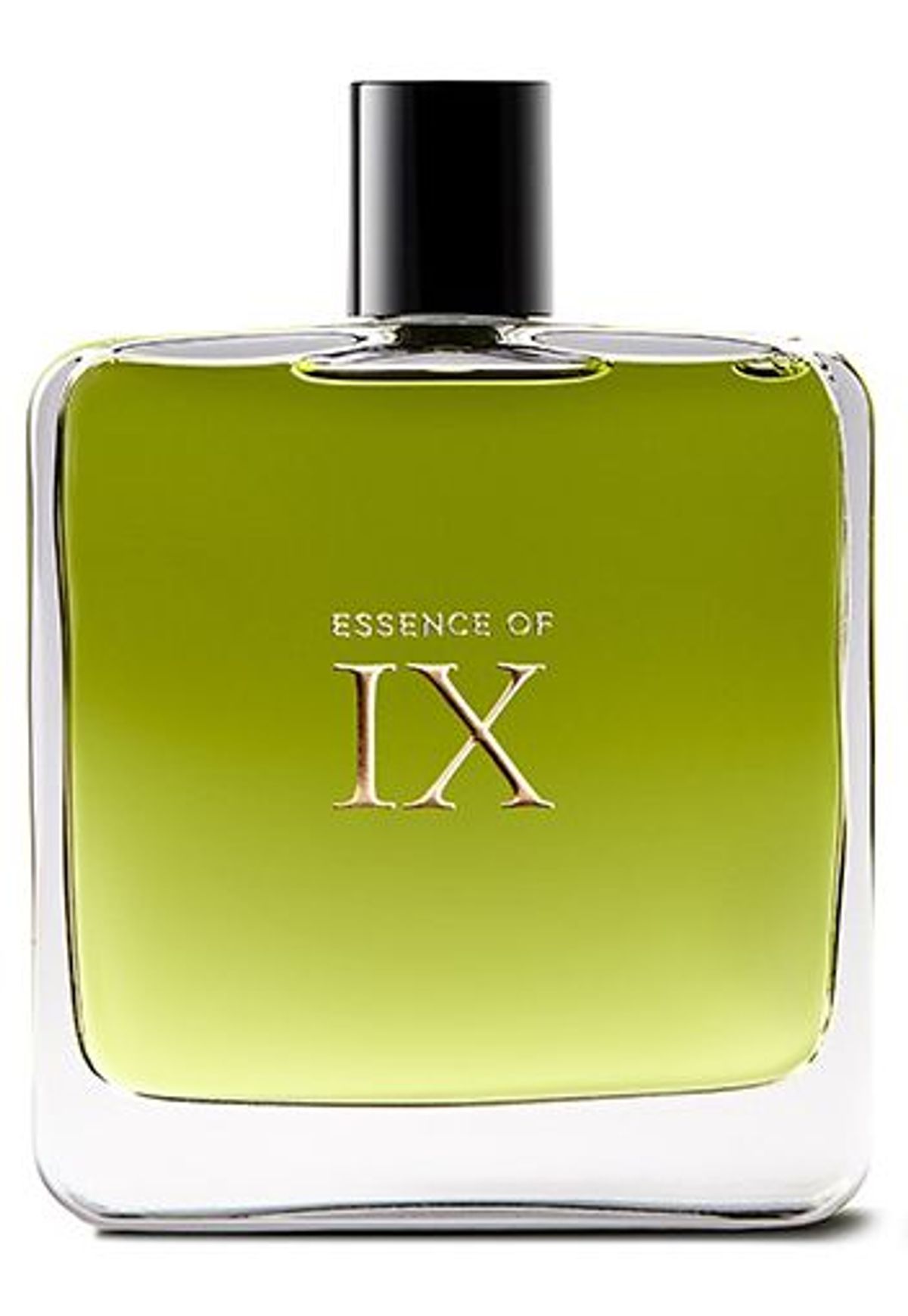 Essence of IX