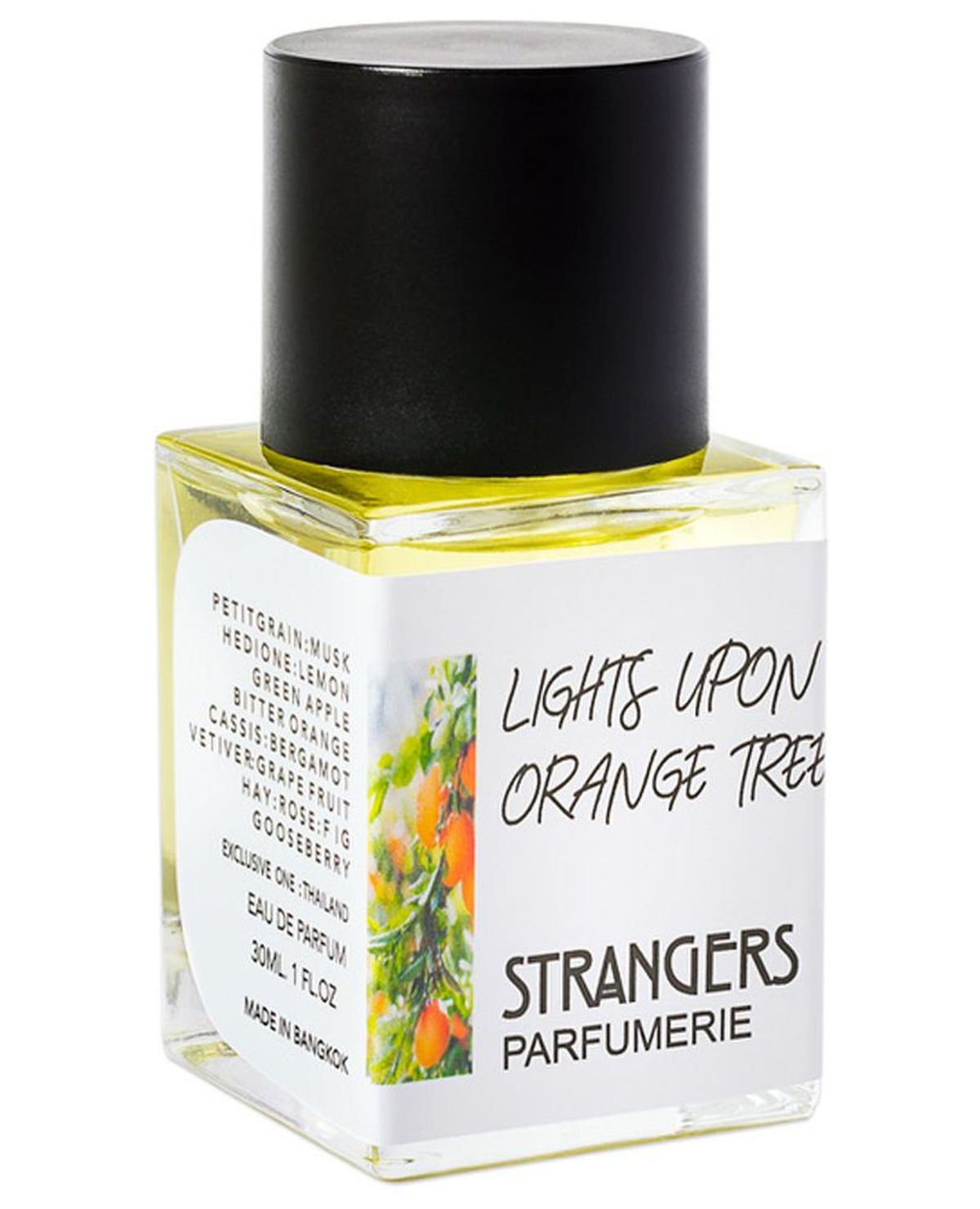 Lights Upon Orange Tree