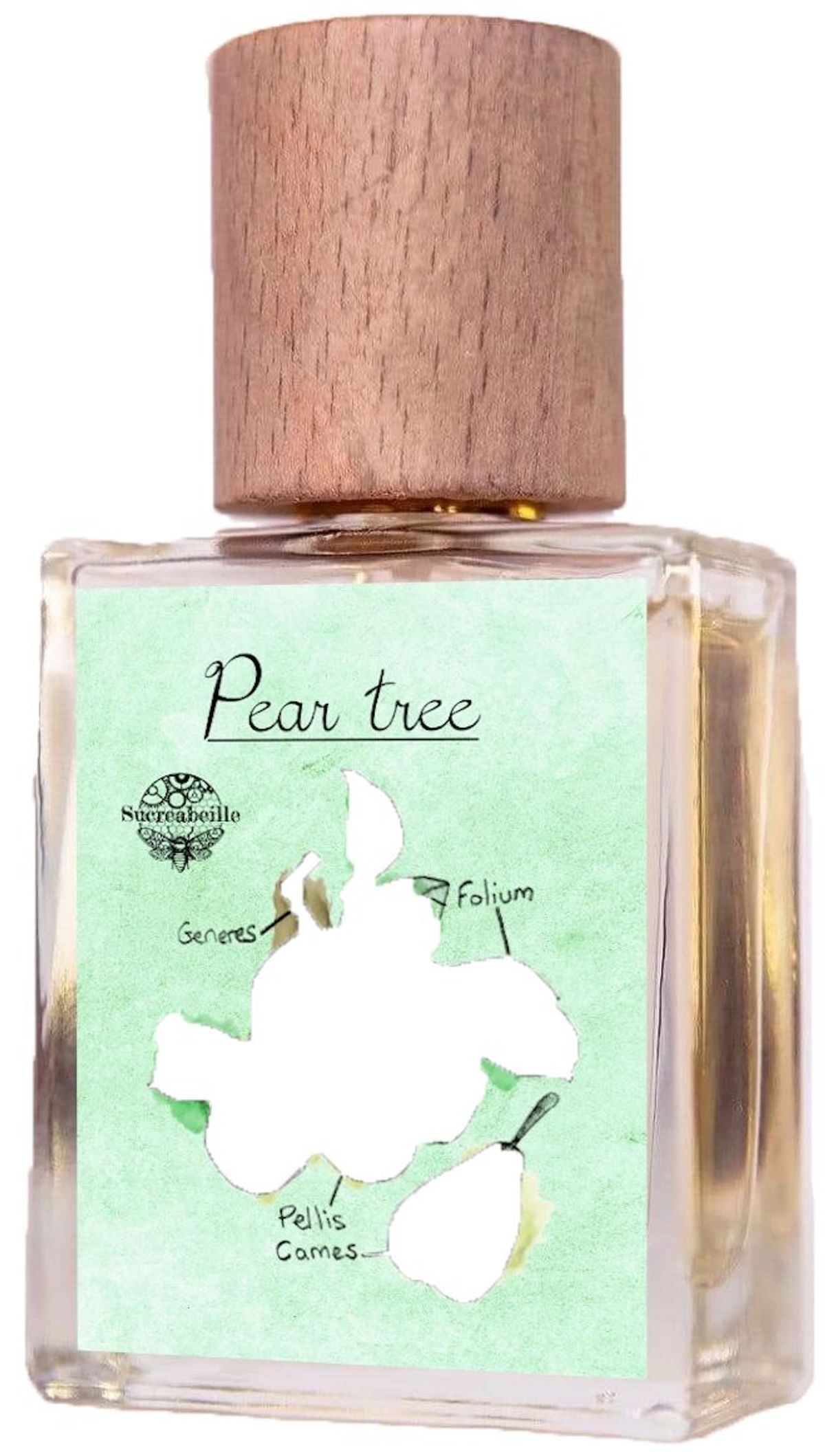 Pear Tree