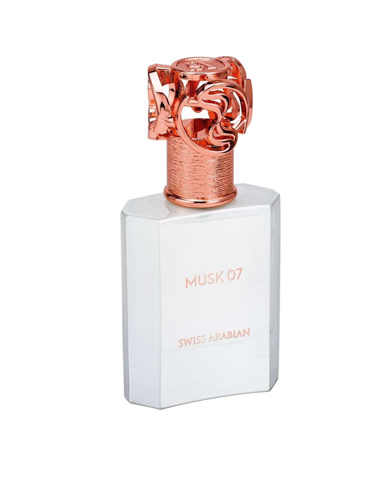 Musk 07