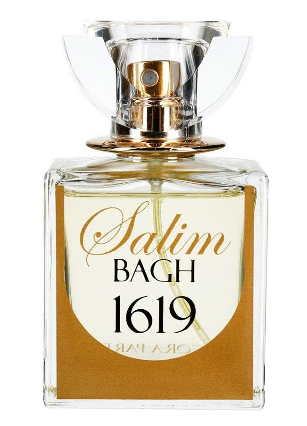 Salim Bagh 1619