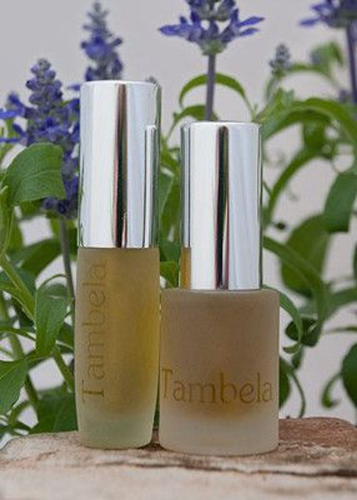 Wild Chypre