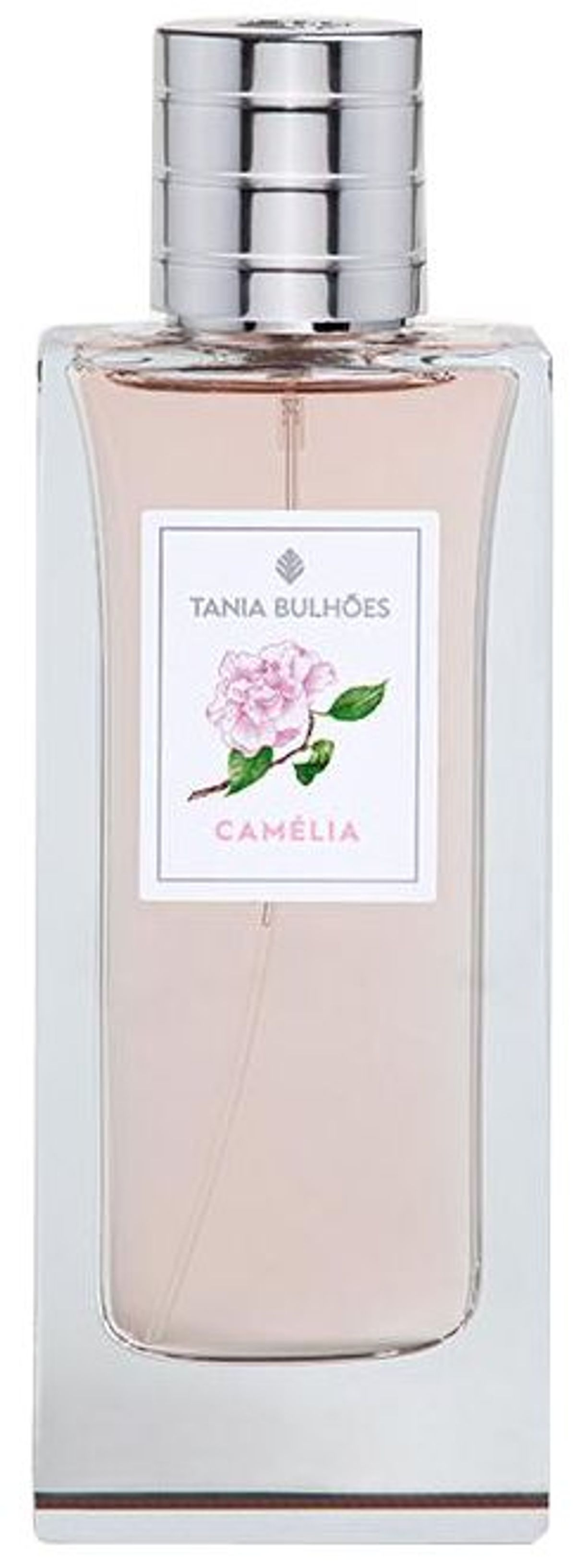 Camélia