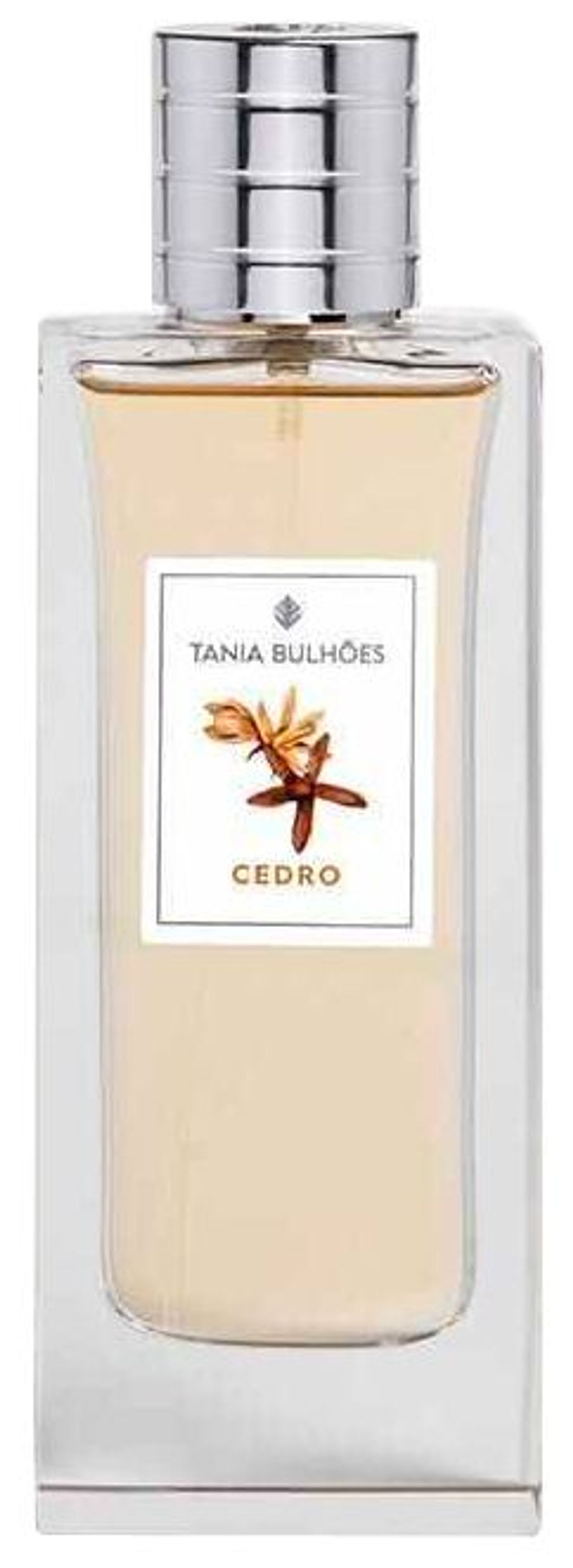 Cedro
