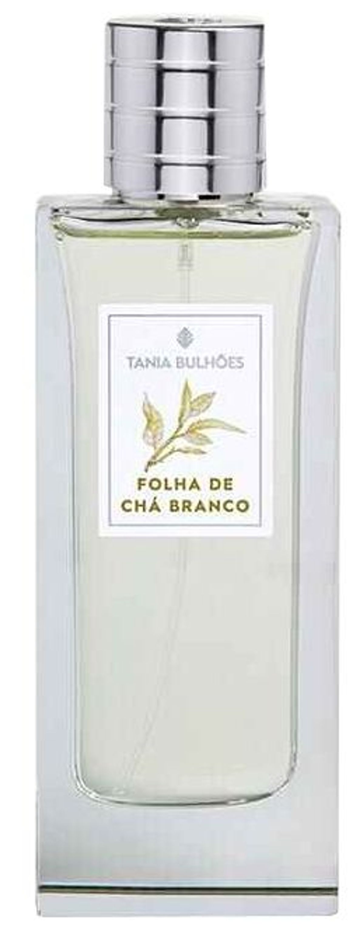 Folha de Chá Branco