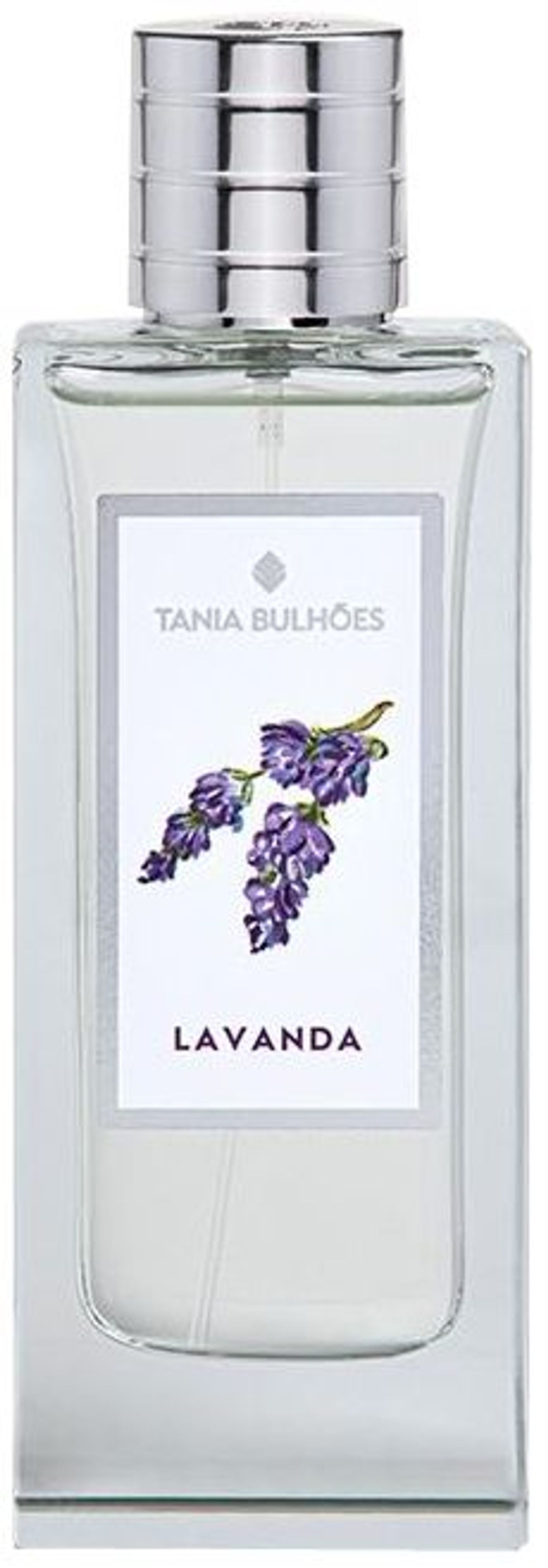 Lavanda