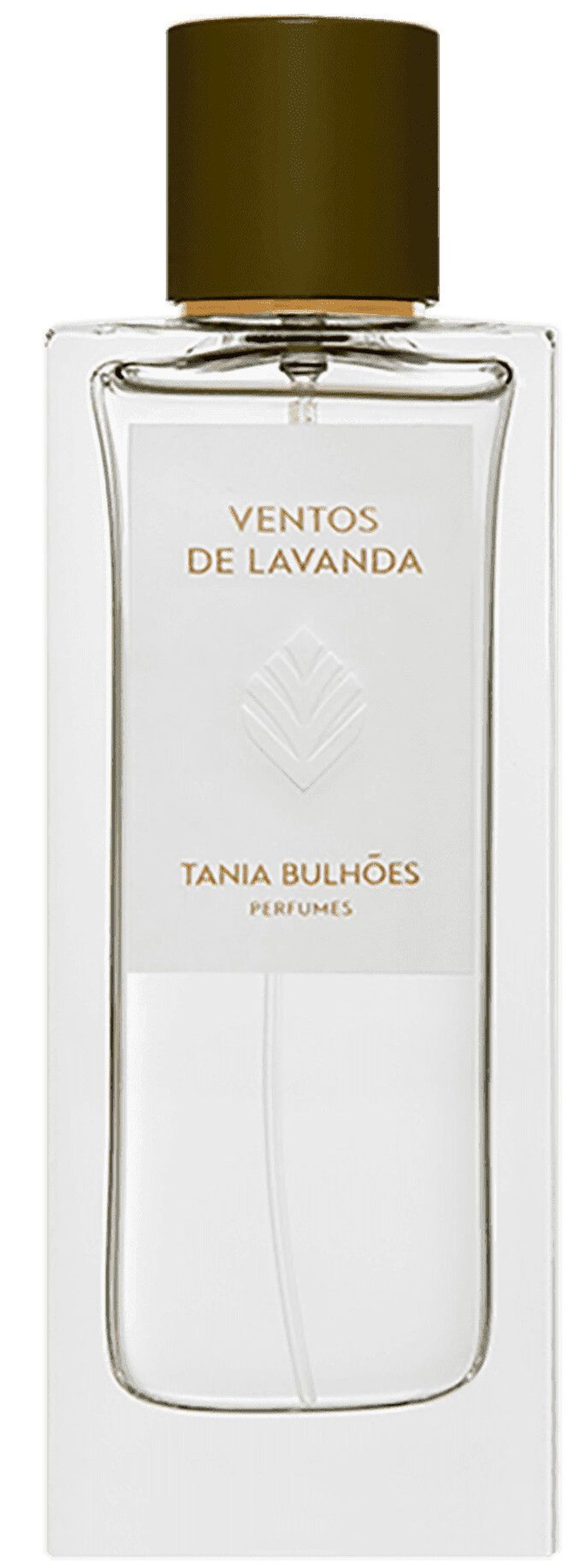 Ventos de Lavanda