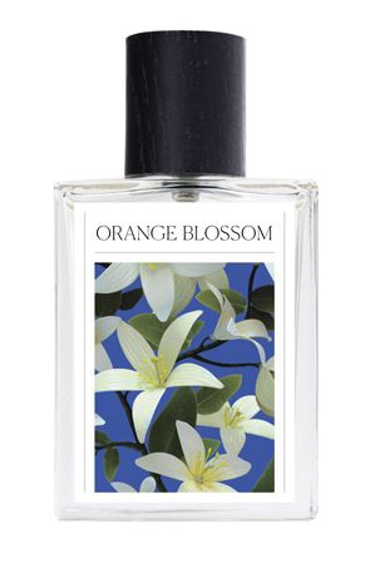 Orange Blossom