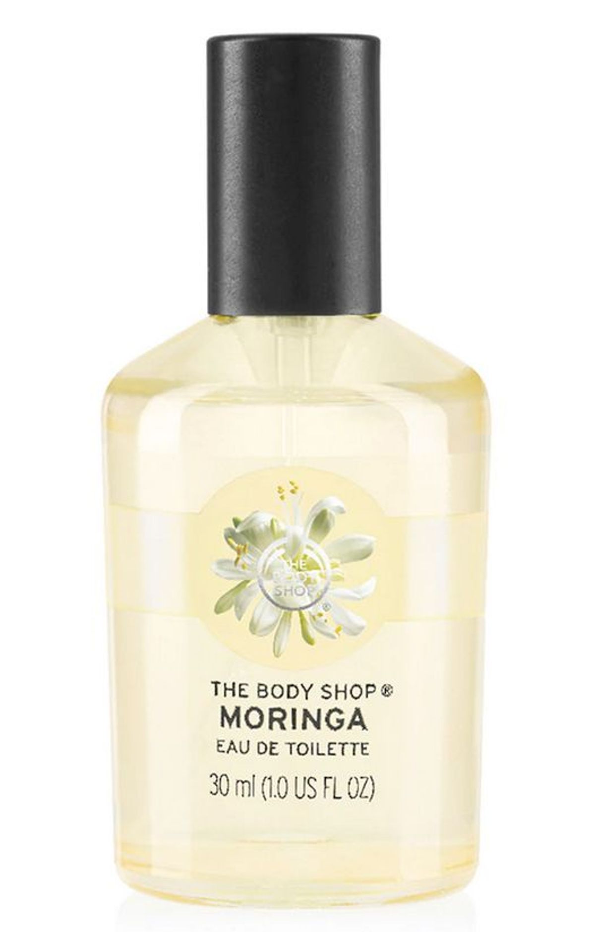 Moringa