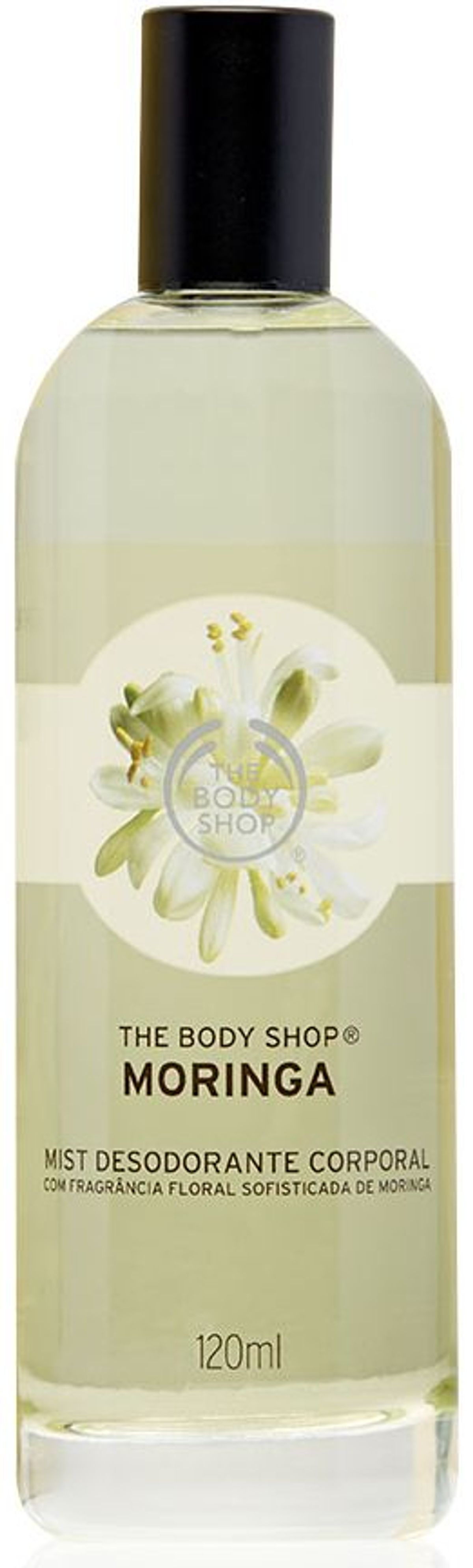 Moringa