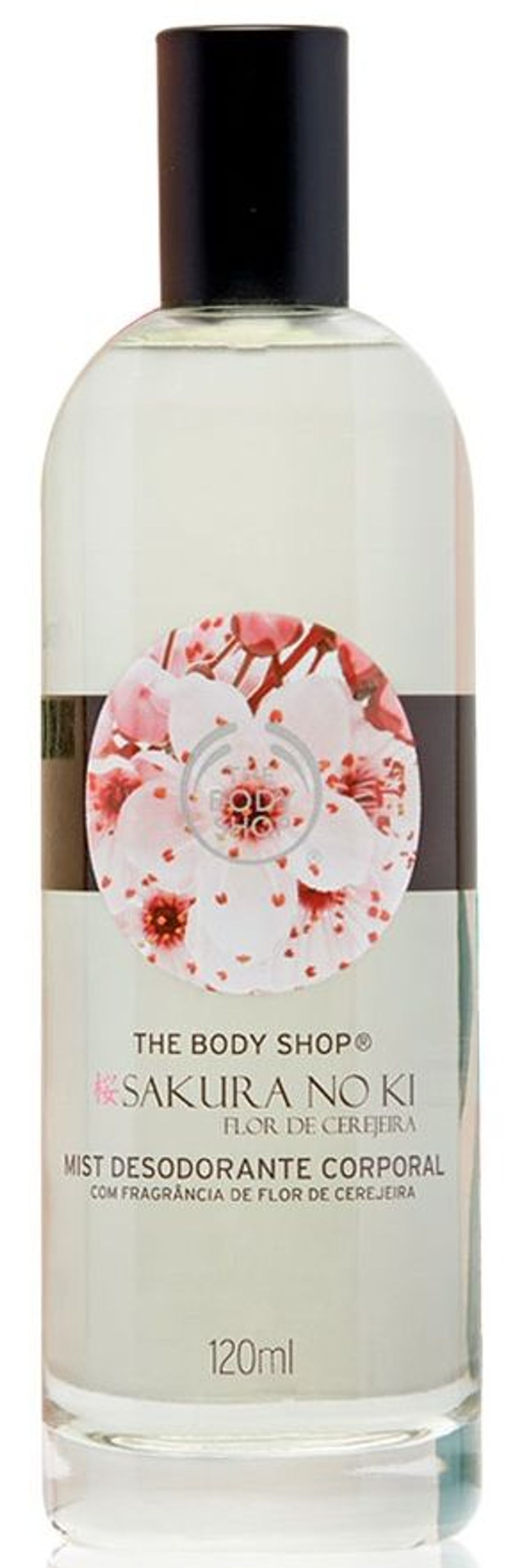 Sakura No Ki Flor de Cerejeira