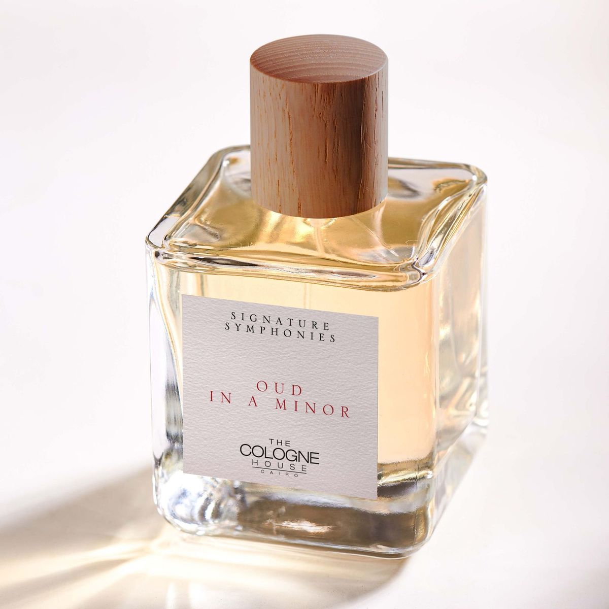 Oud in A Minor