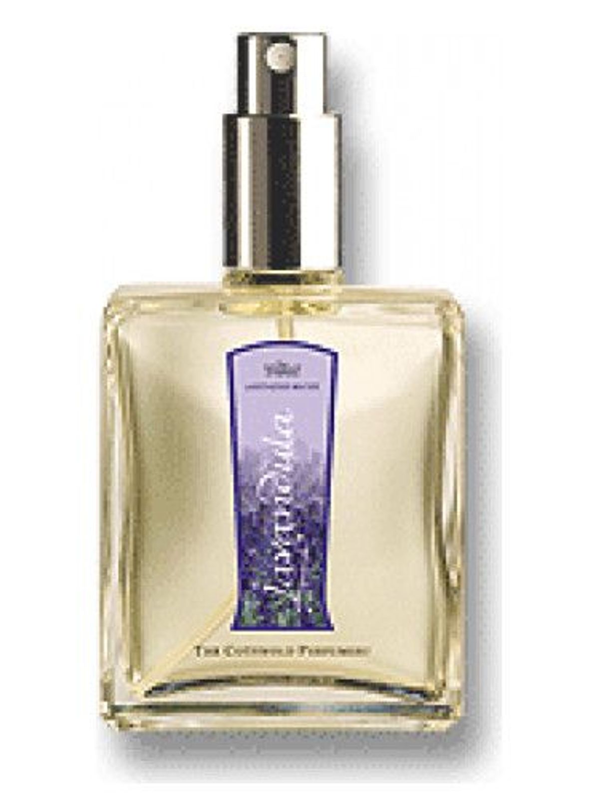 Lavandula