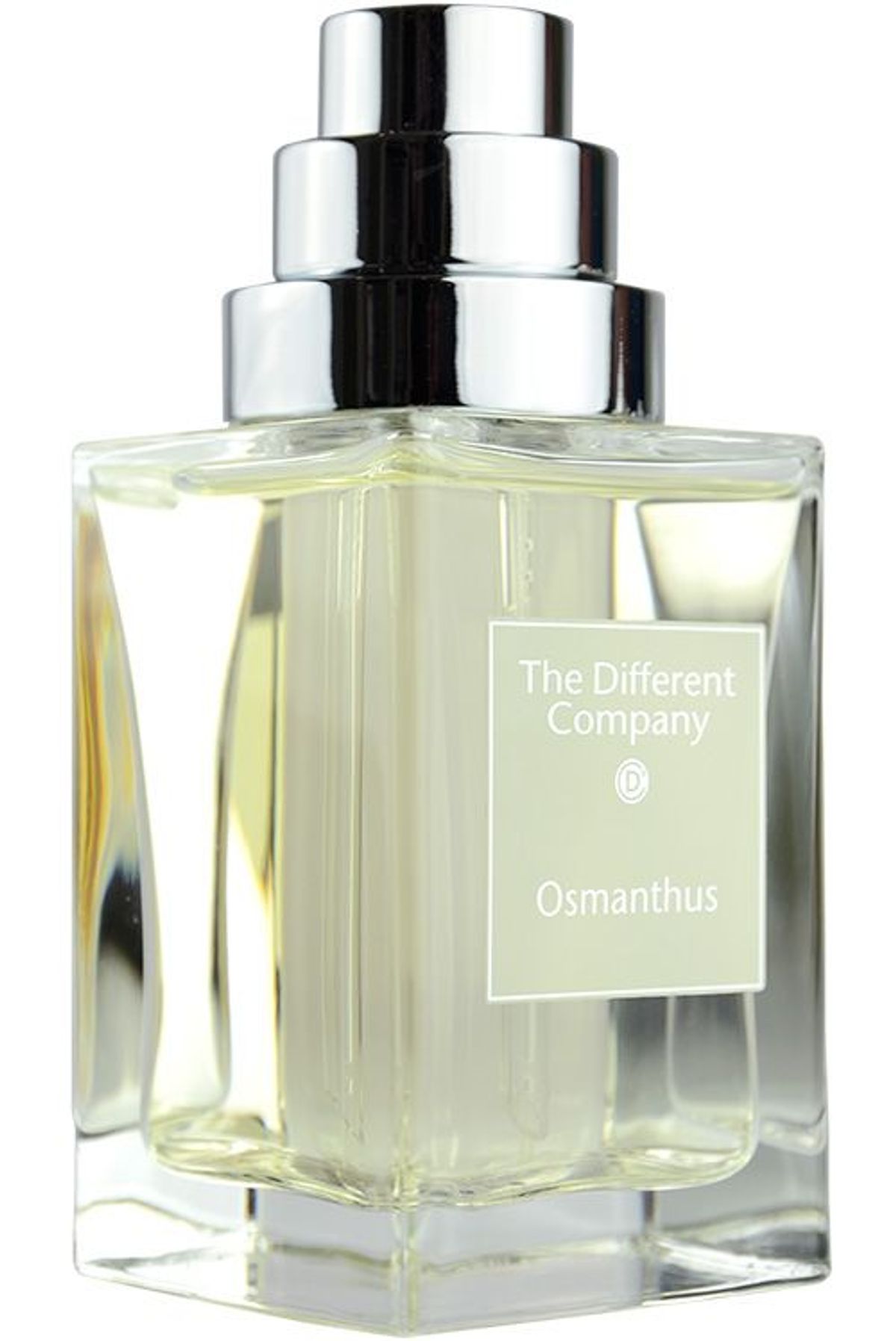 Osmanthus