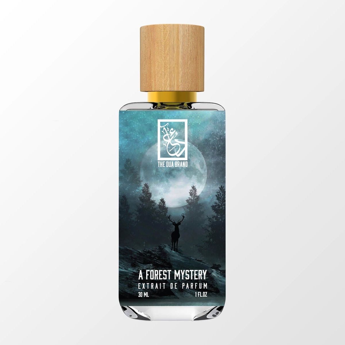 A Forest Mystery
