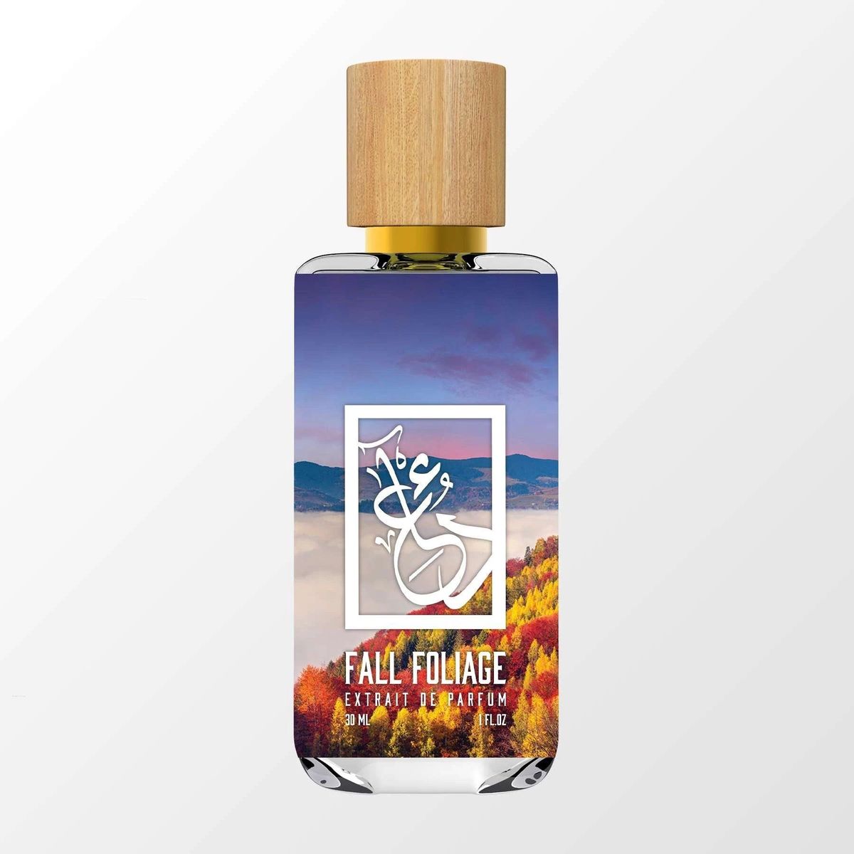 Fall Foliage