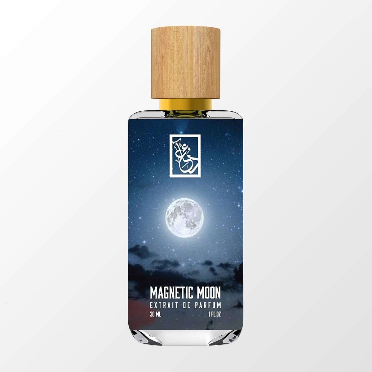 Magnetic Moon