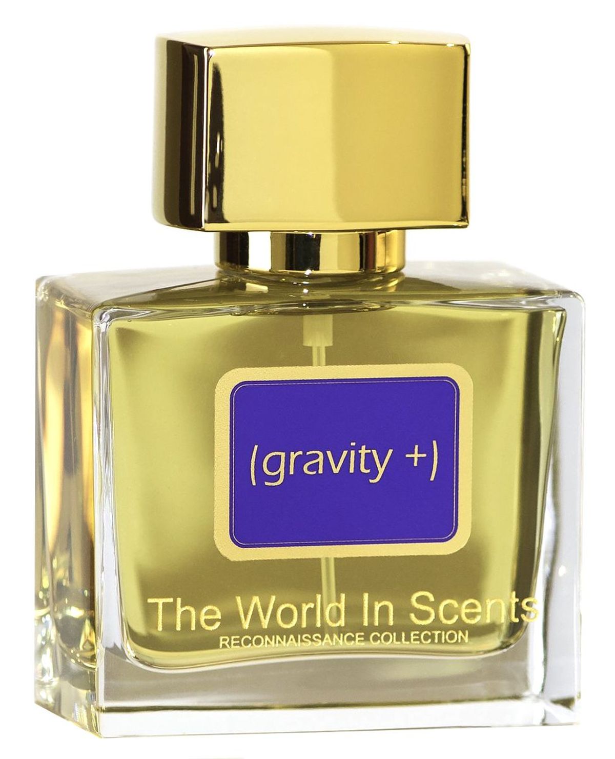 Gravity Plus
