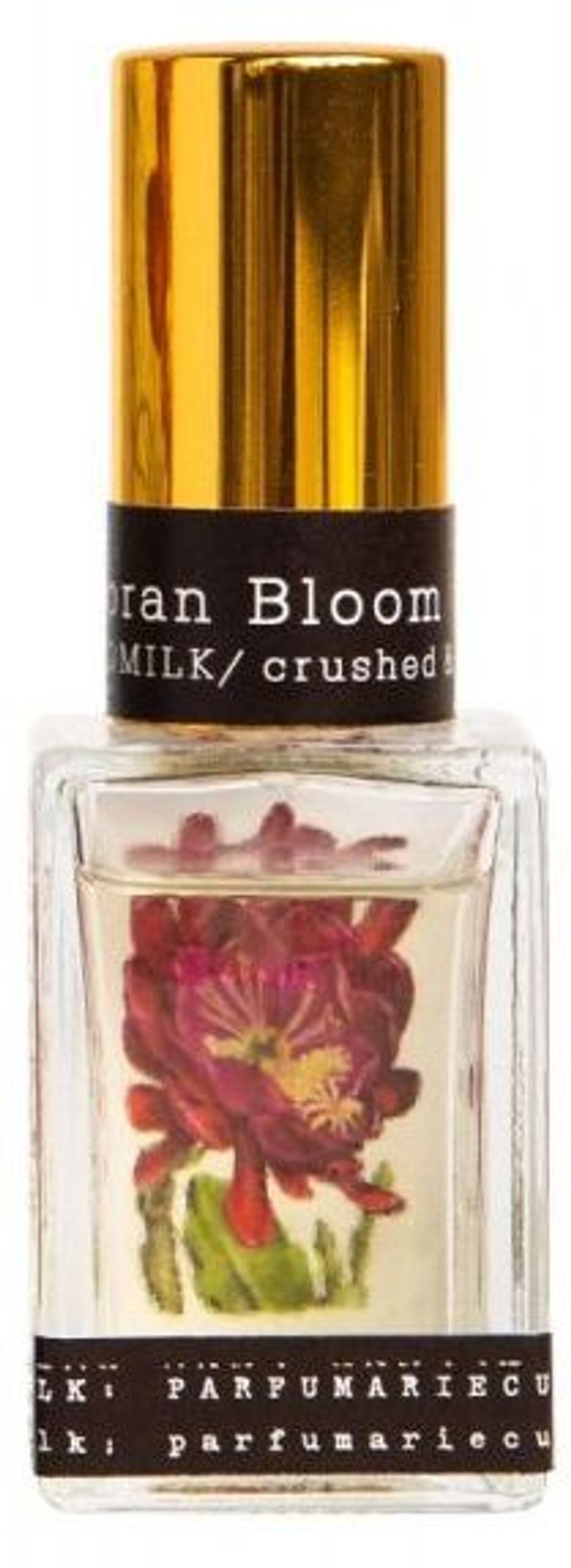 Sonoran Bloom